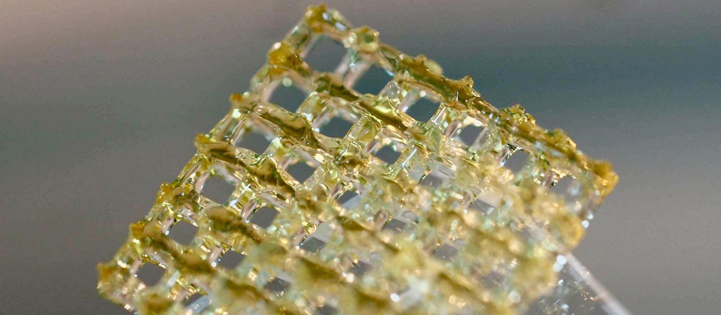3D bioprinted gelatin hydrogel lattice construct 