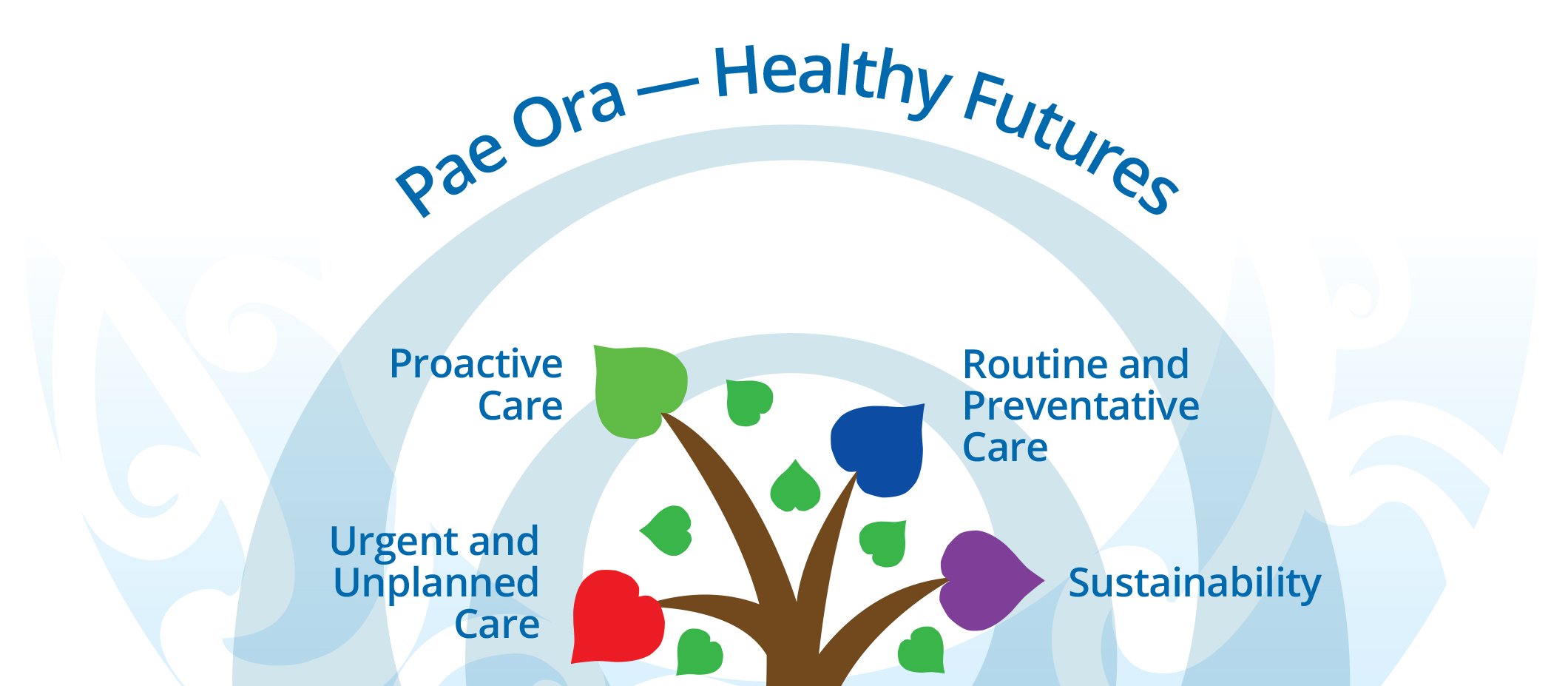 Pae Ora - Healthy Futures