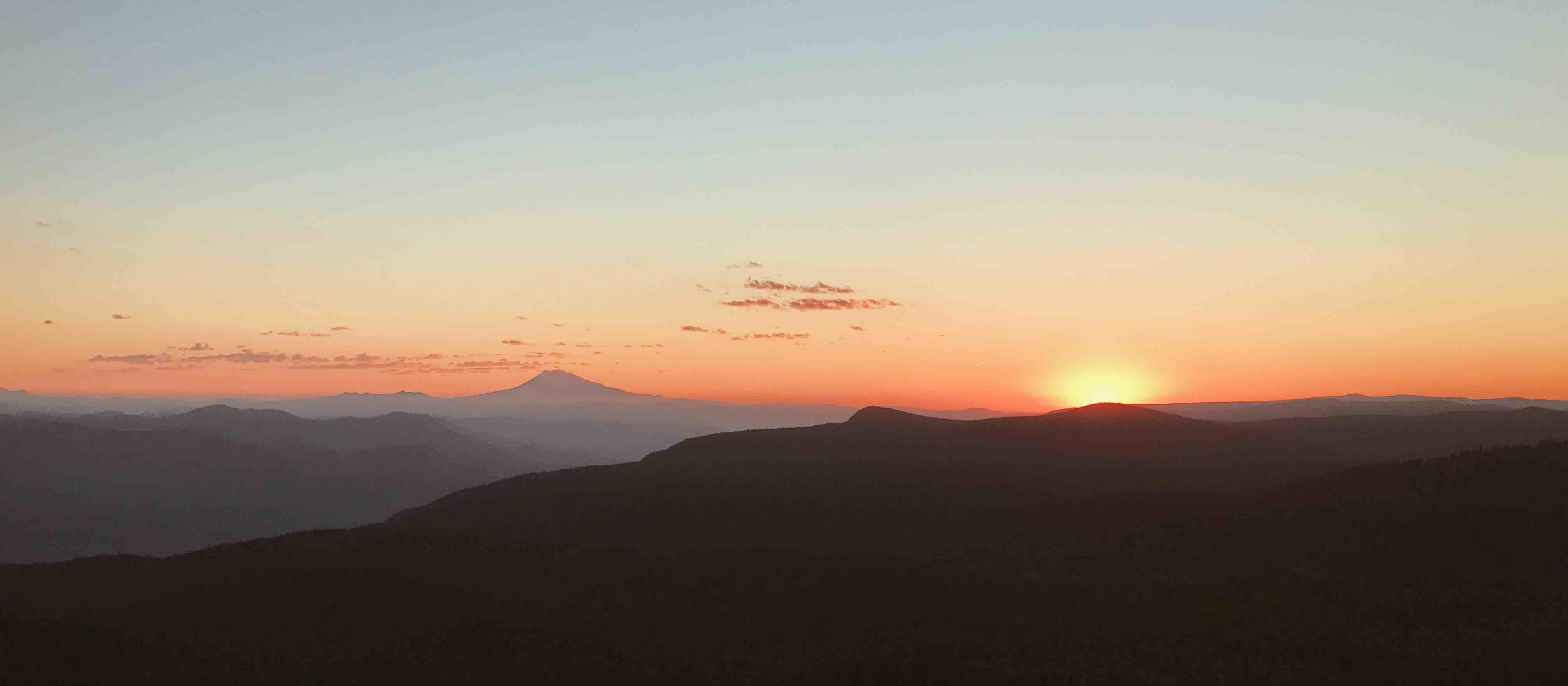 Image: adrian on Unsplash