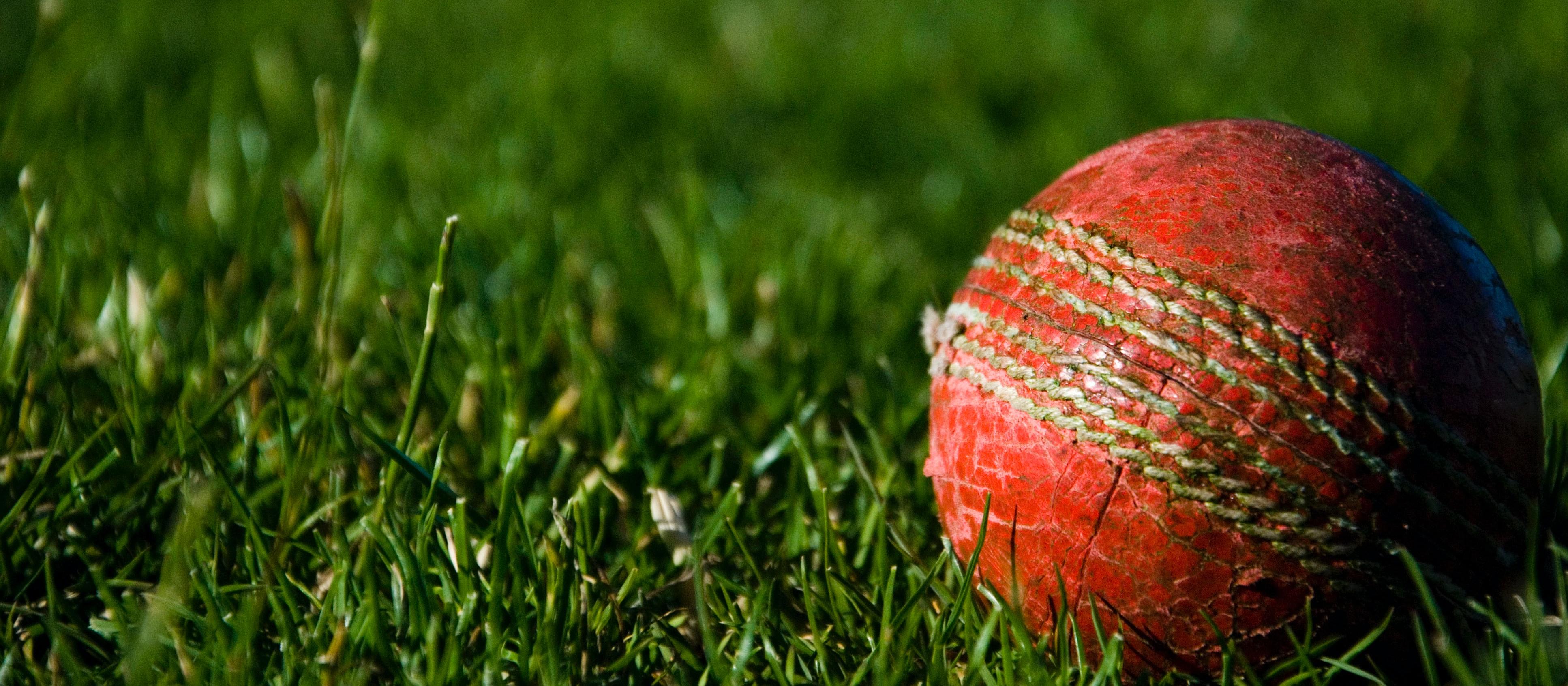 Cricket ball