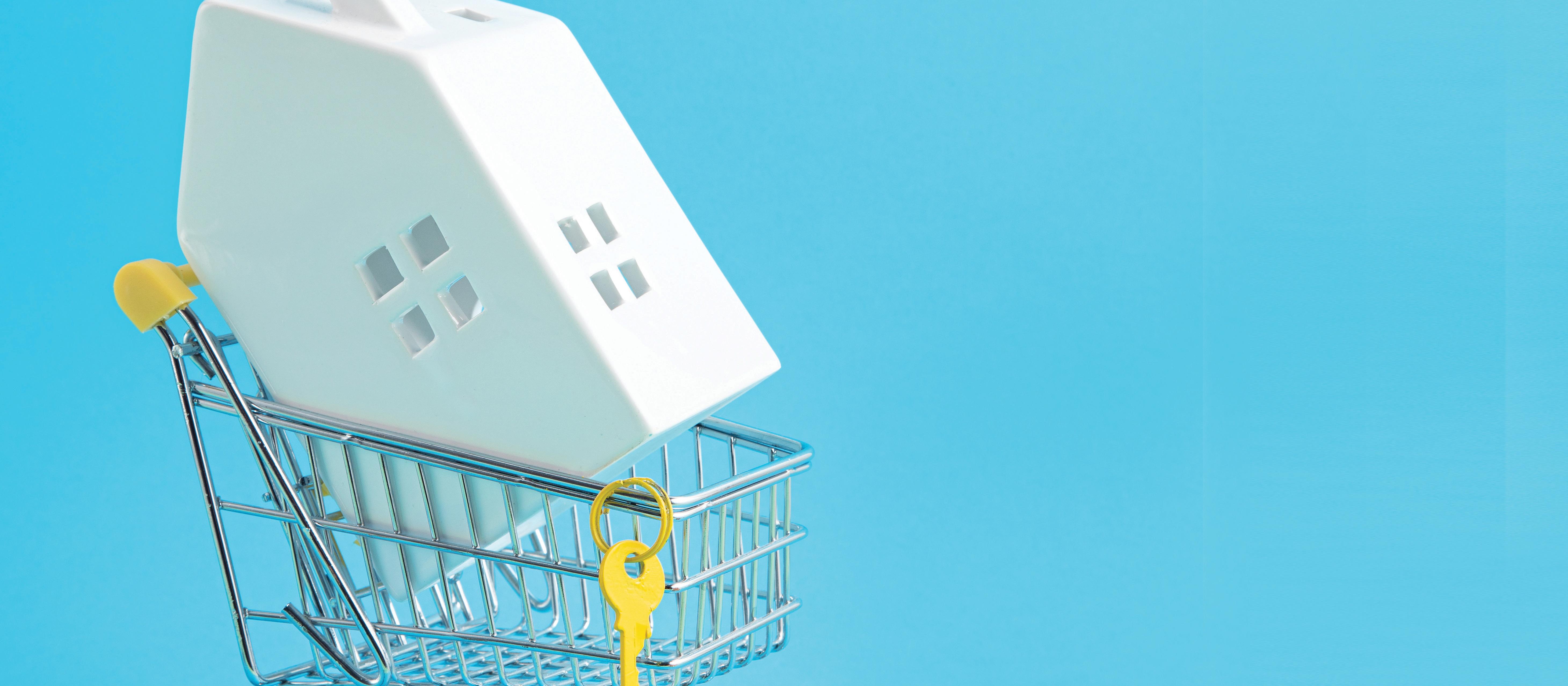 Buying practices