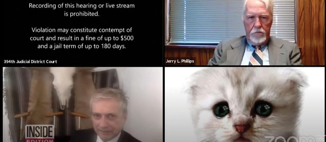 Zoom_cat filter