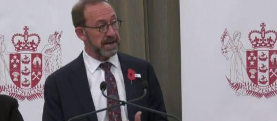 Andrew Little, health announcement