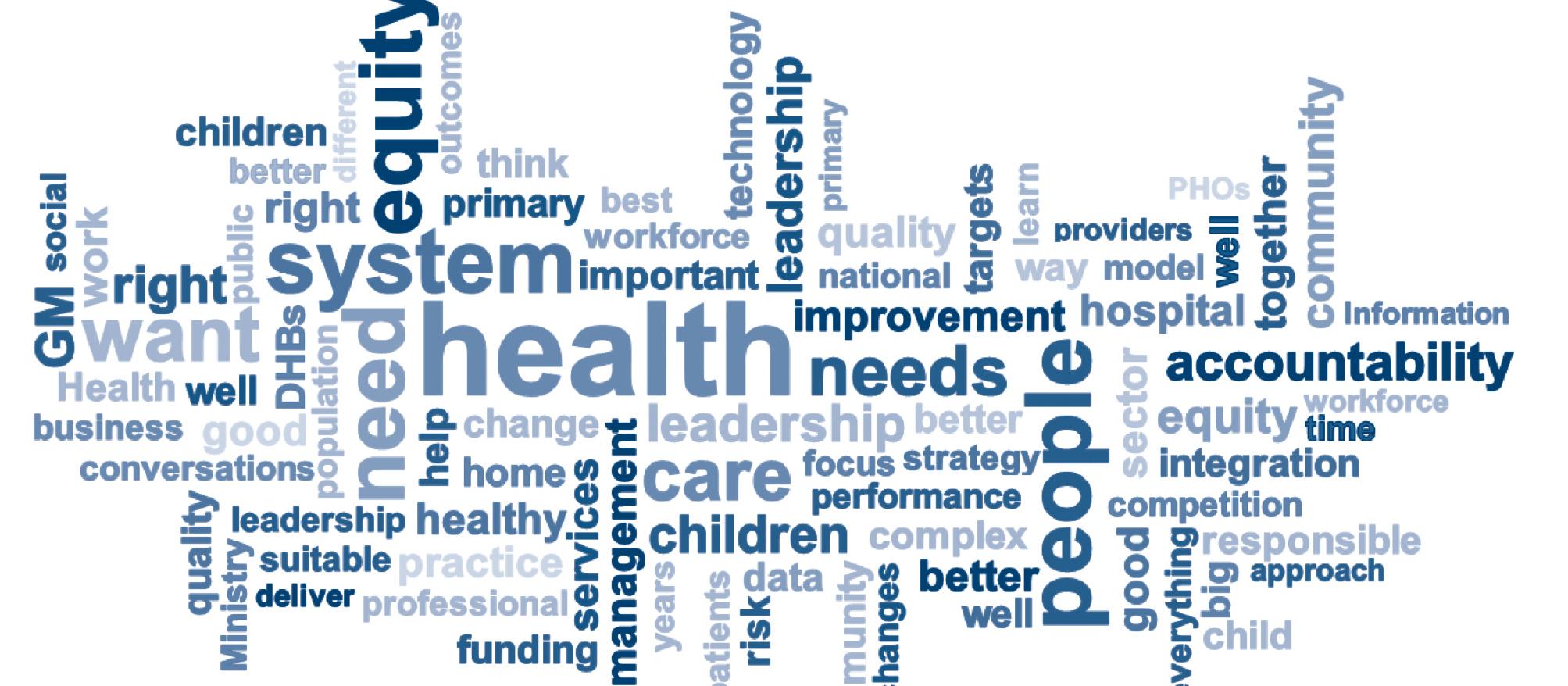 NZ Health strategy future direction 