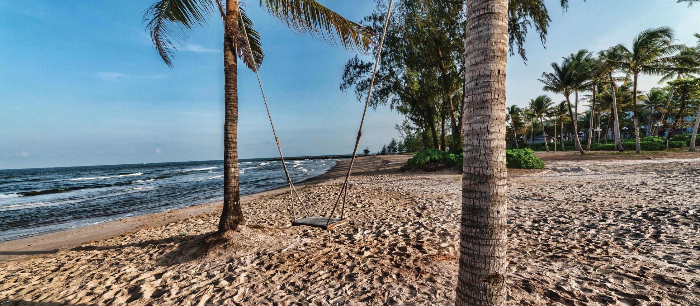 Palm-trees
