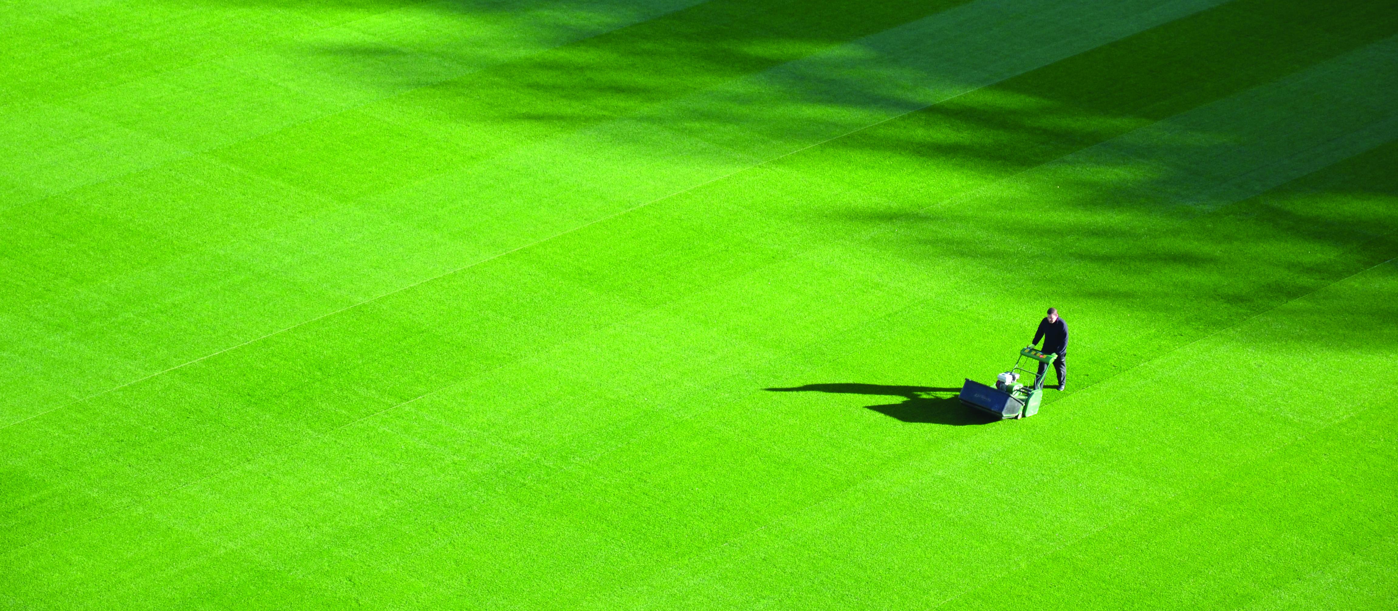 Mowing the lawn