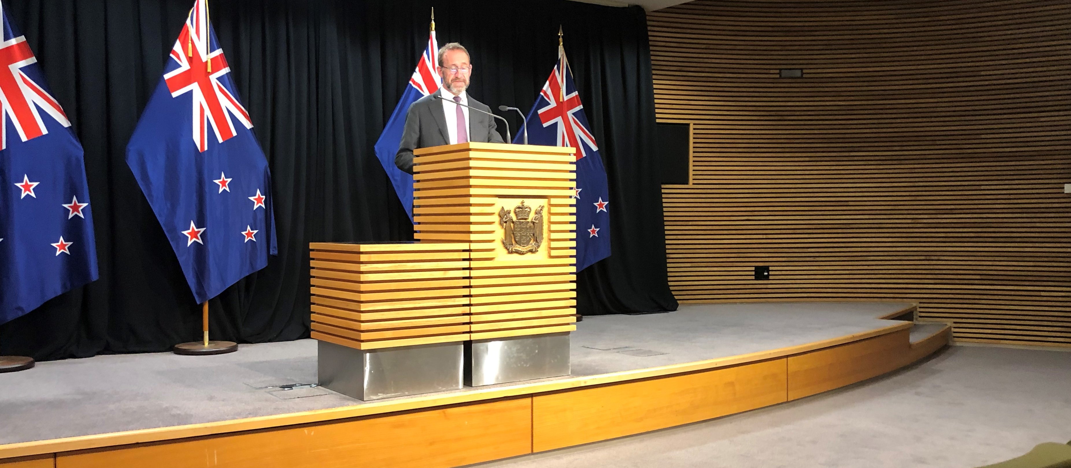 Andrew Little_Budget 2021