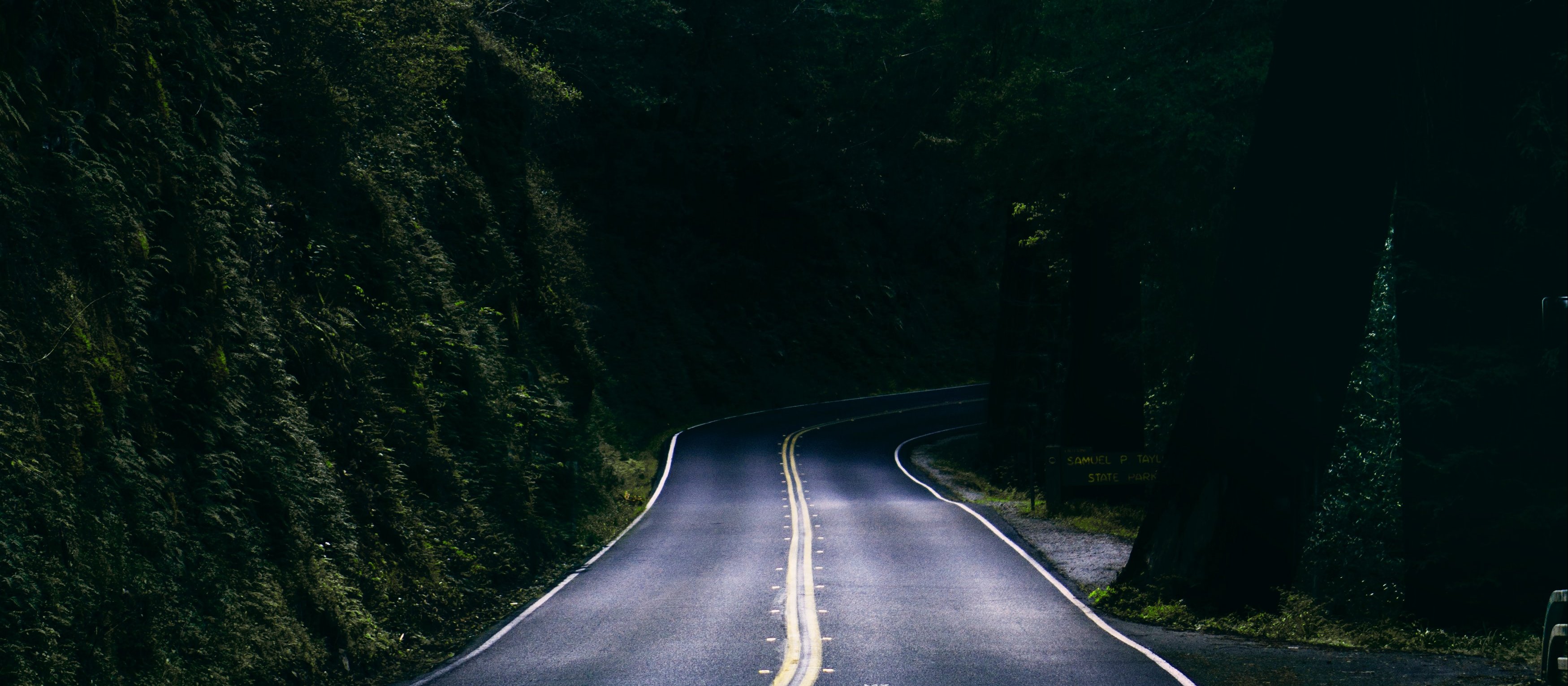 Unknown turn_Matthew Fournier on Unsplash
