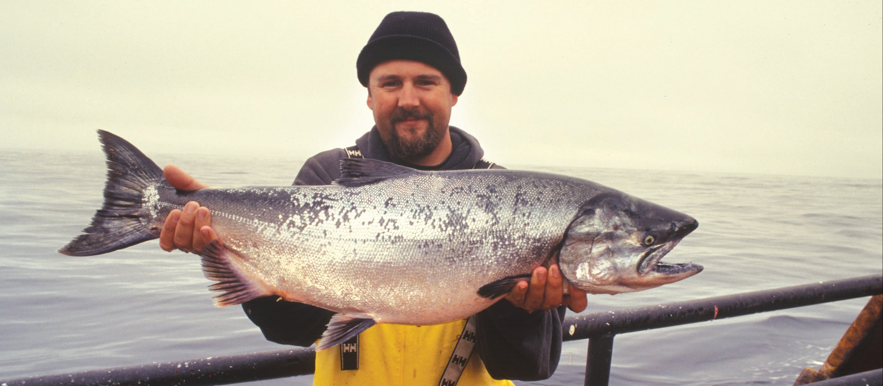 Increasing fish intake can help reduce inflammation and pain