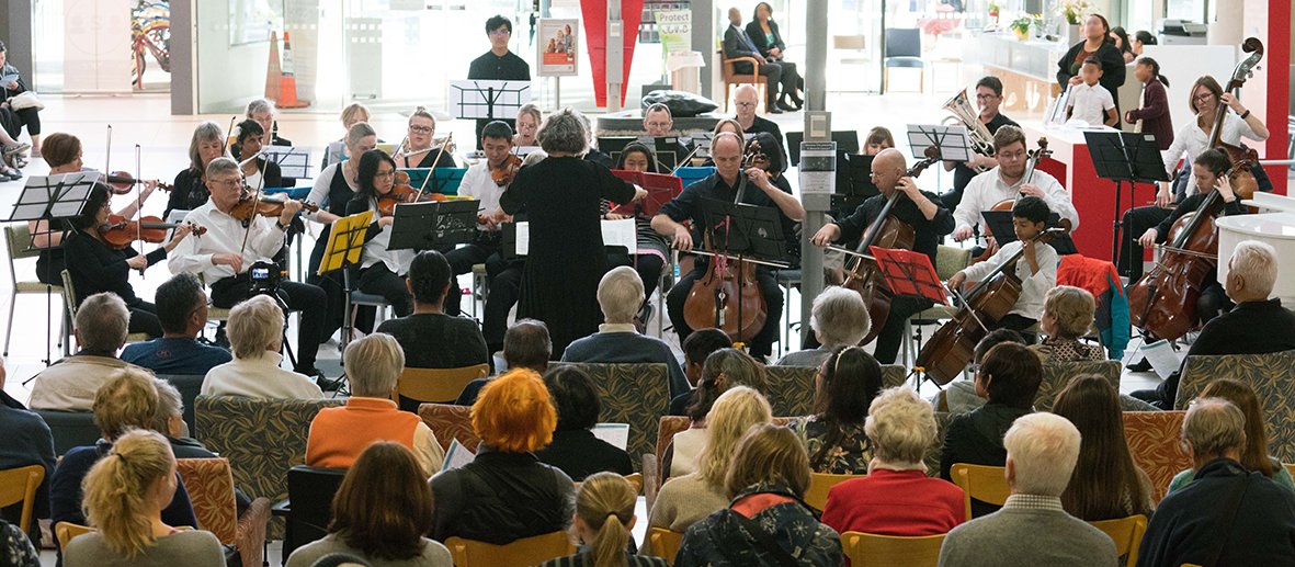 CCDHB and HVDHB orchestra