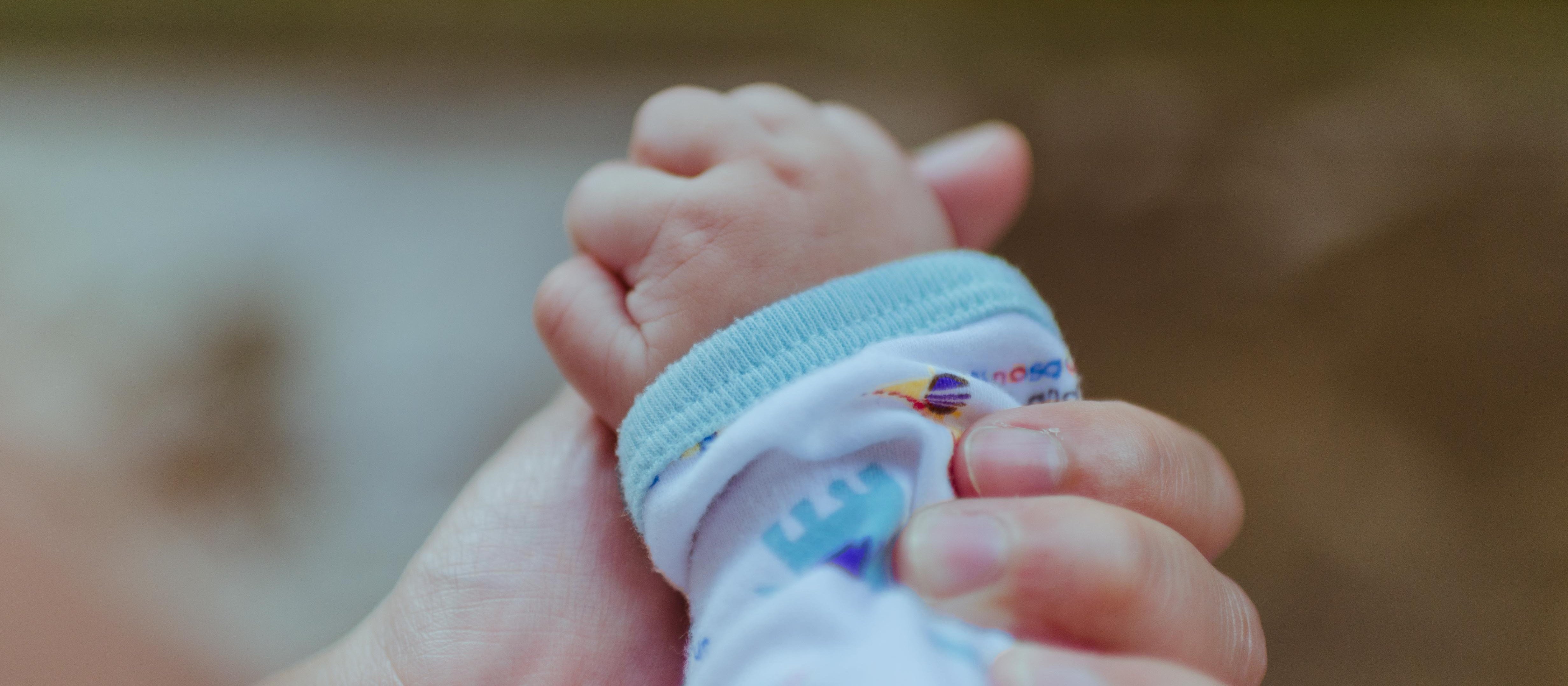 baby_Photo by bady abbas