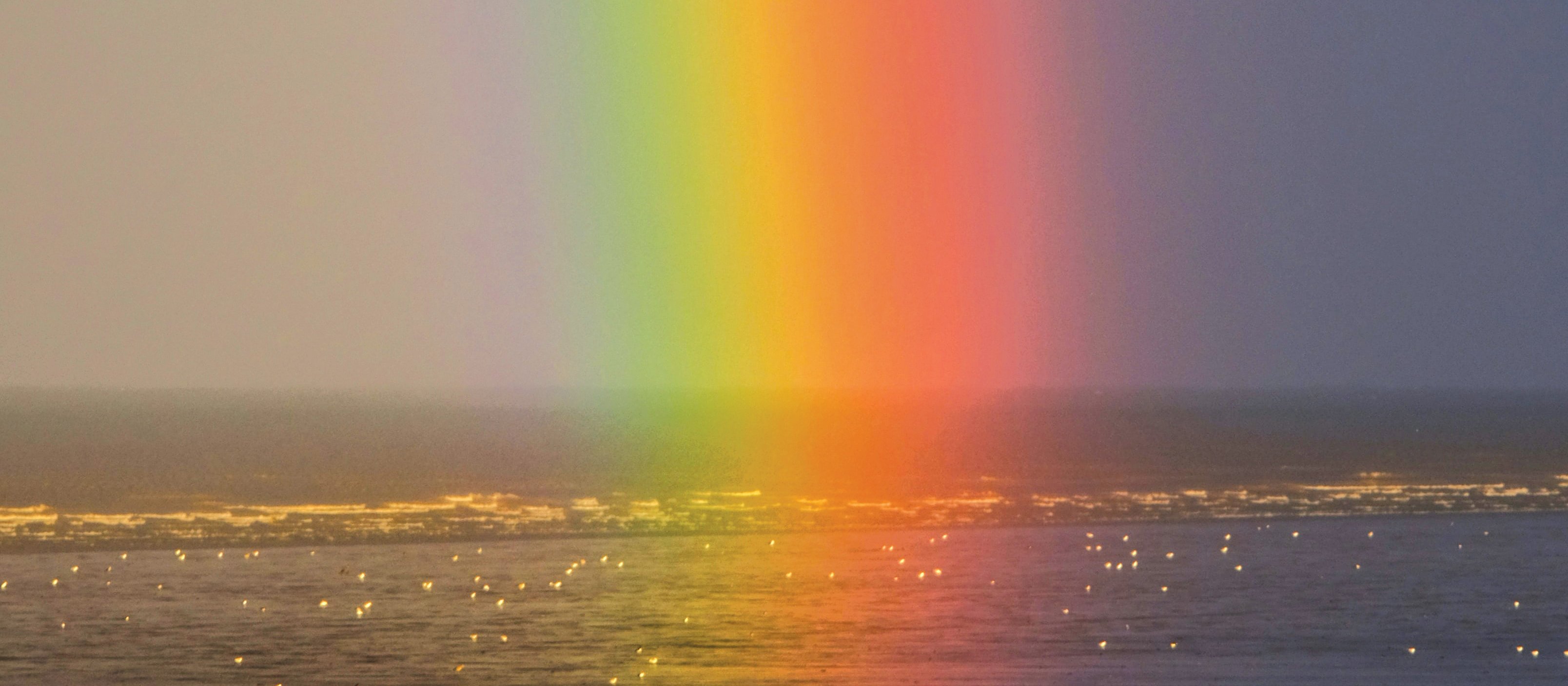 Rainbow2021_CR_Zoltan-Tasi_P2lk_0bBVm0_Unsplash.jpg