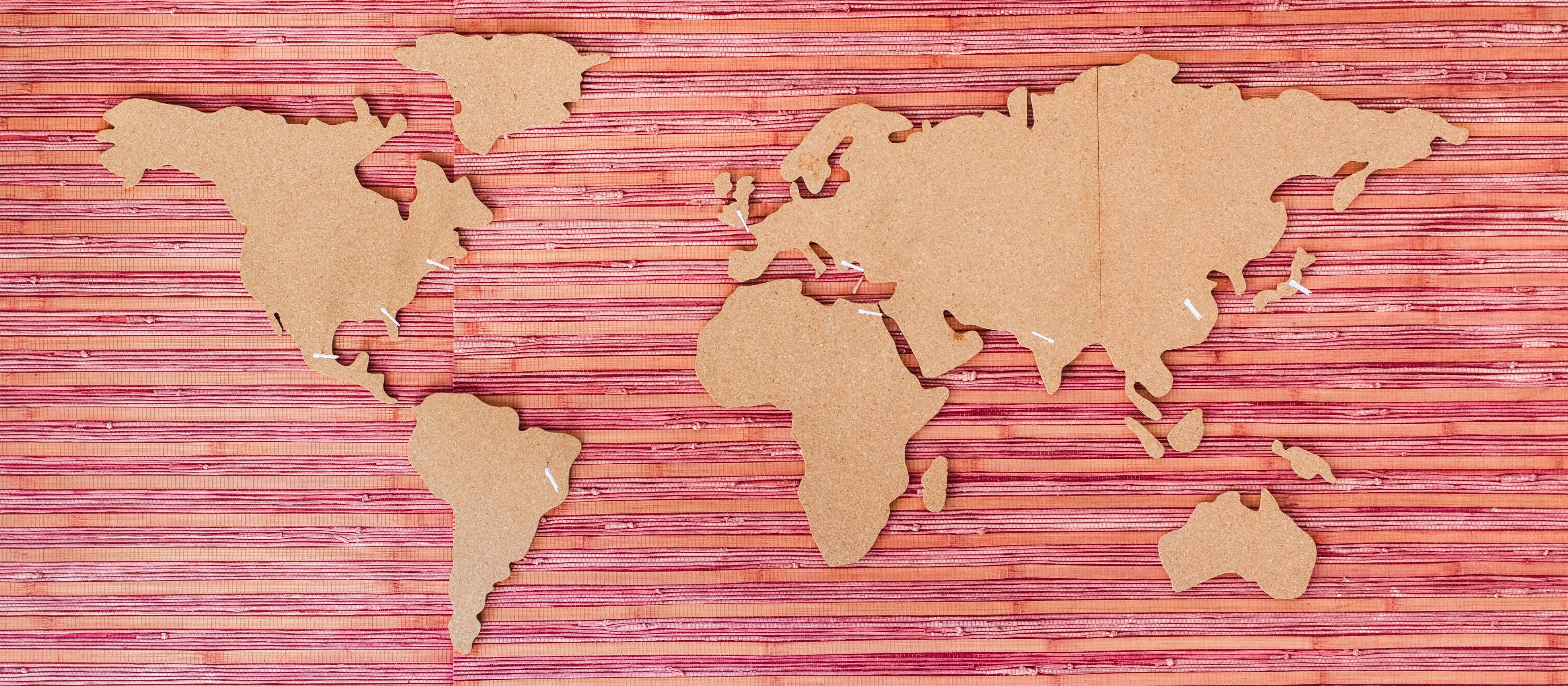 World Map