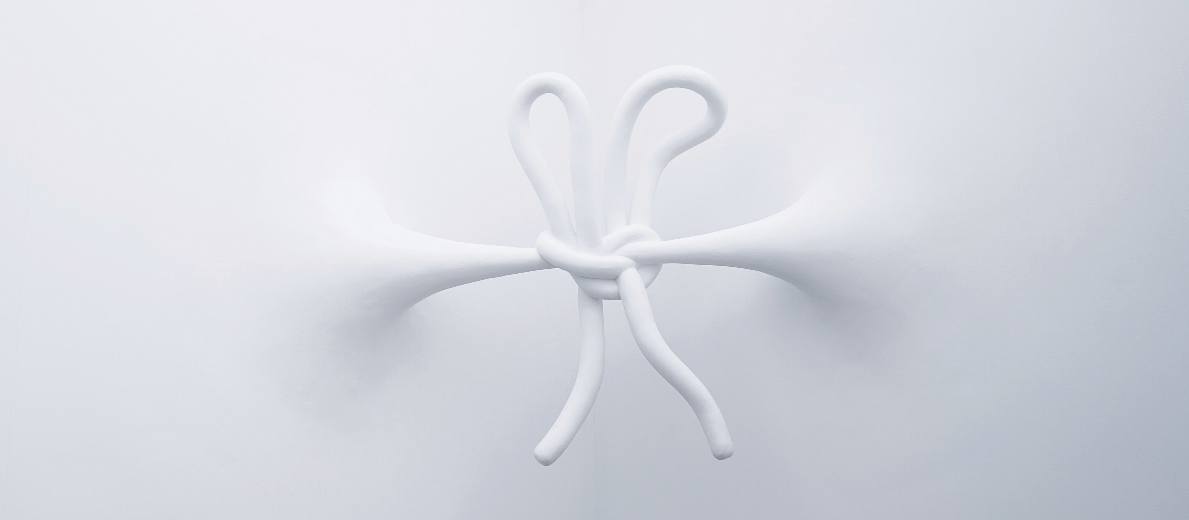 Knots Bruno Figueiredo