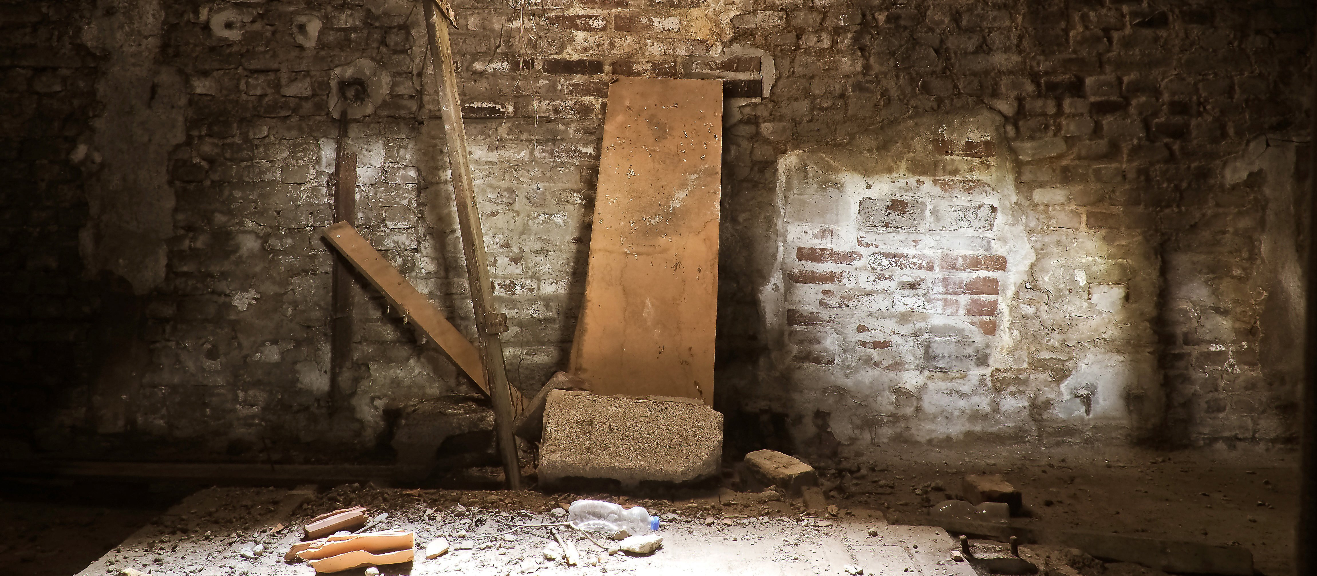 This GP prefers not to think about how crumbly his moral cellar might be. (Image: Michael Gaida on Pixabay)