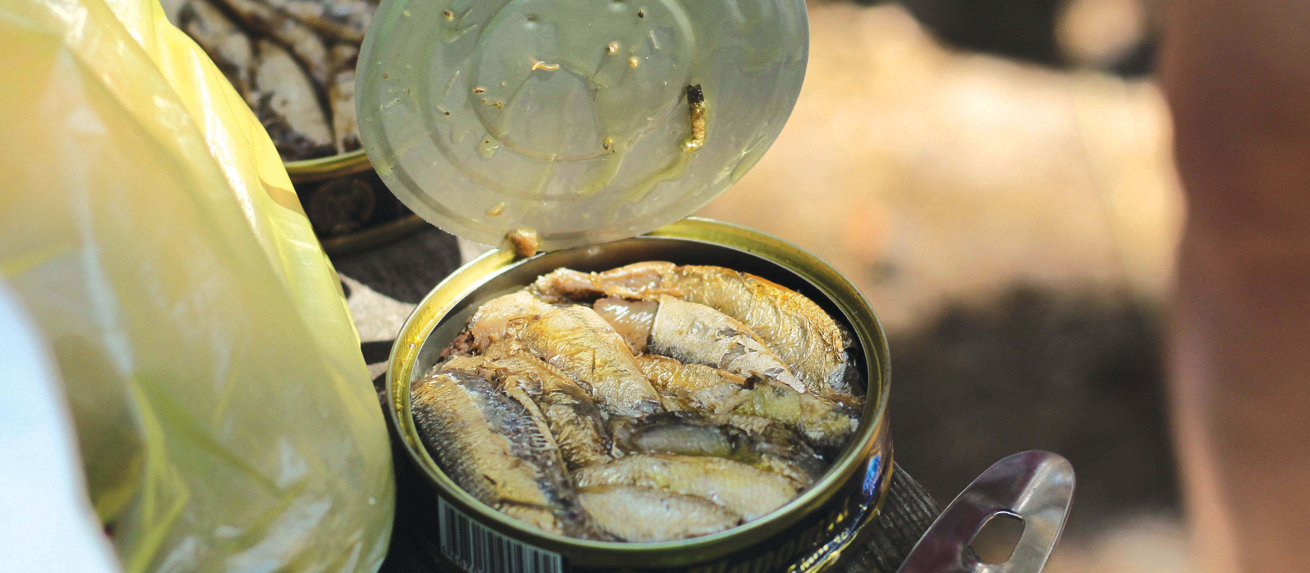 Canned fish