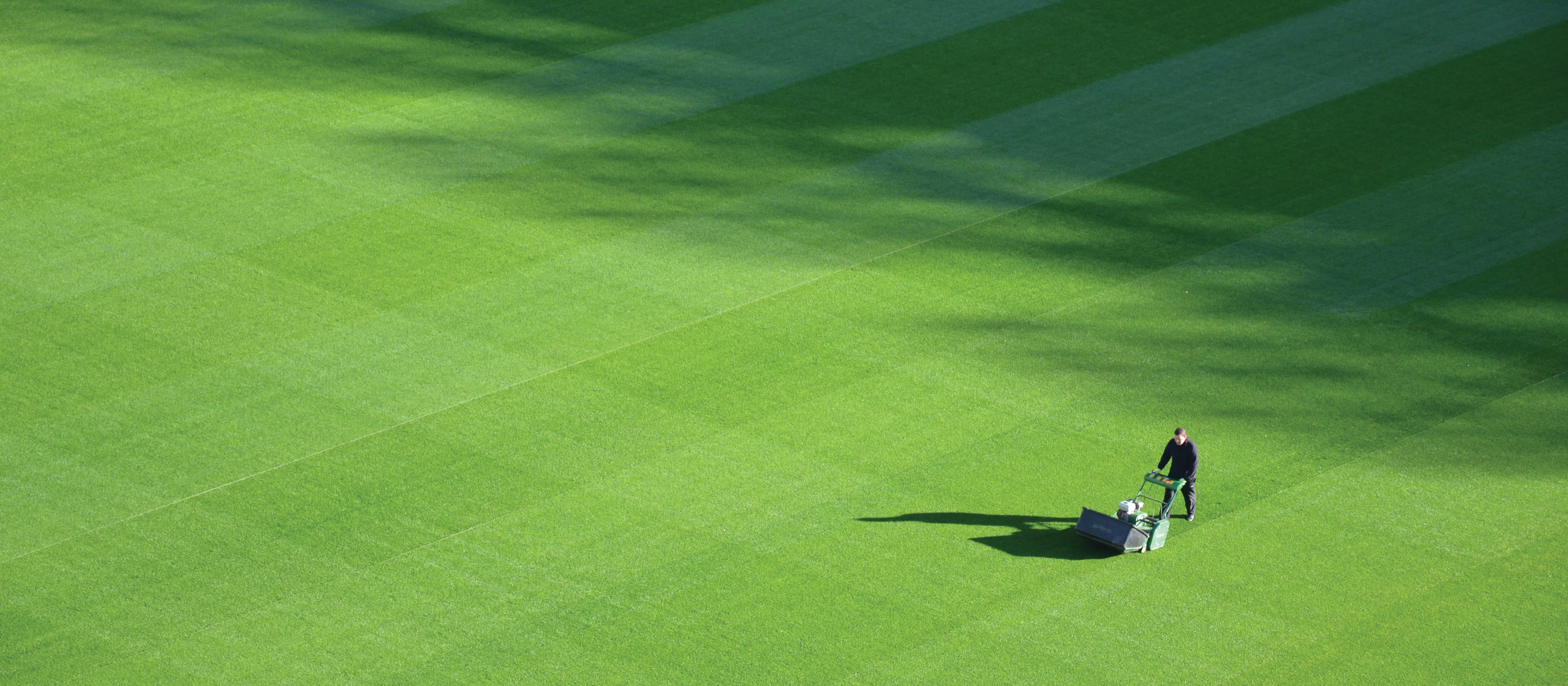 Mowing Field 