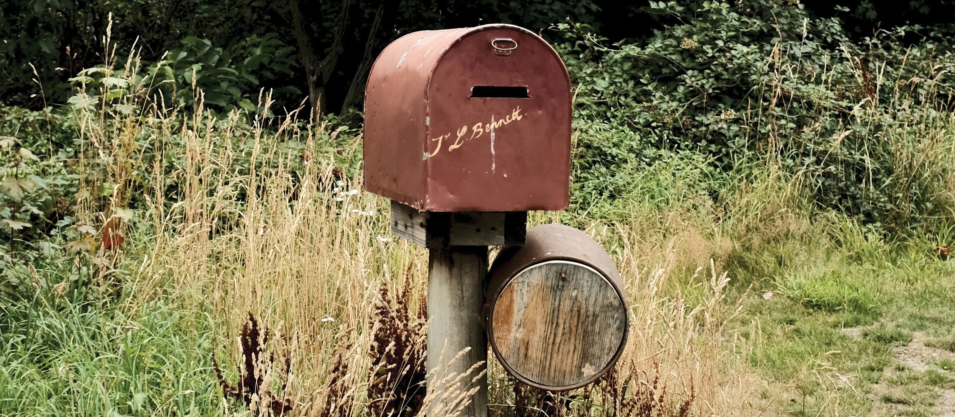 Weeds Letterbox [David Tip on Unsplash]