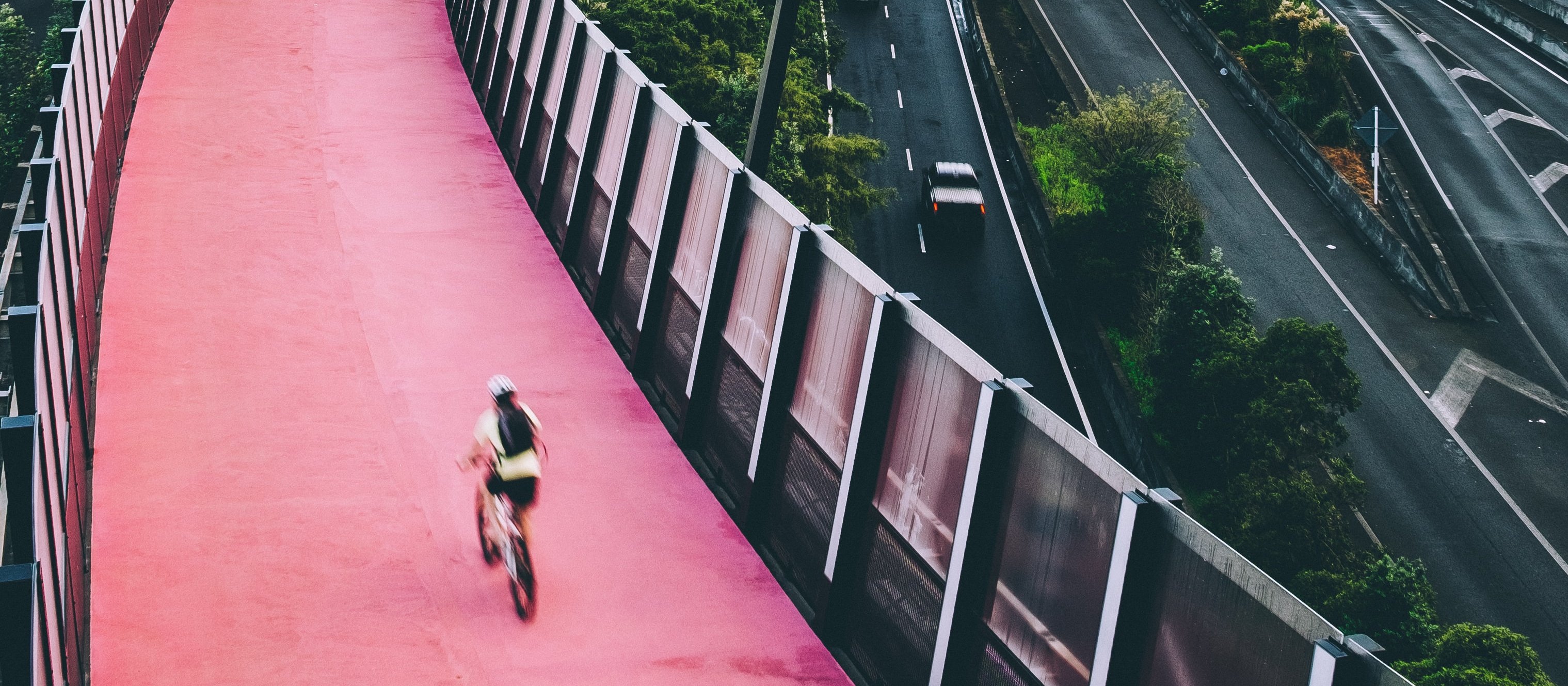 Auckland scene and cyclist_CR_Dan Freeman on Unsplash