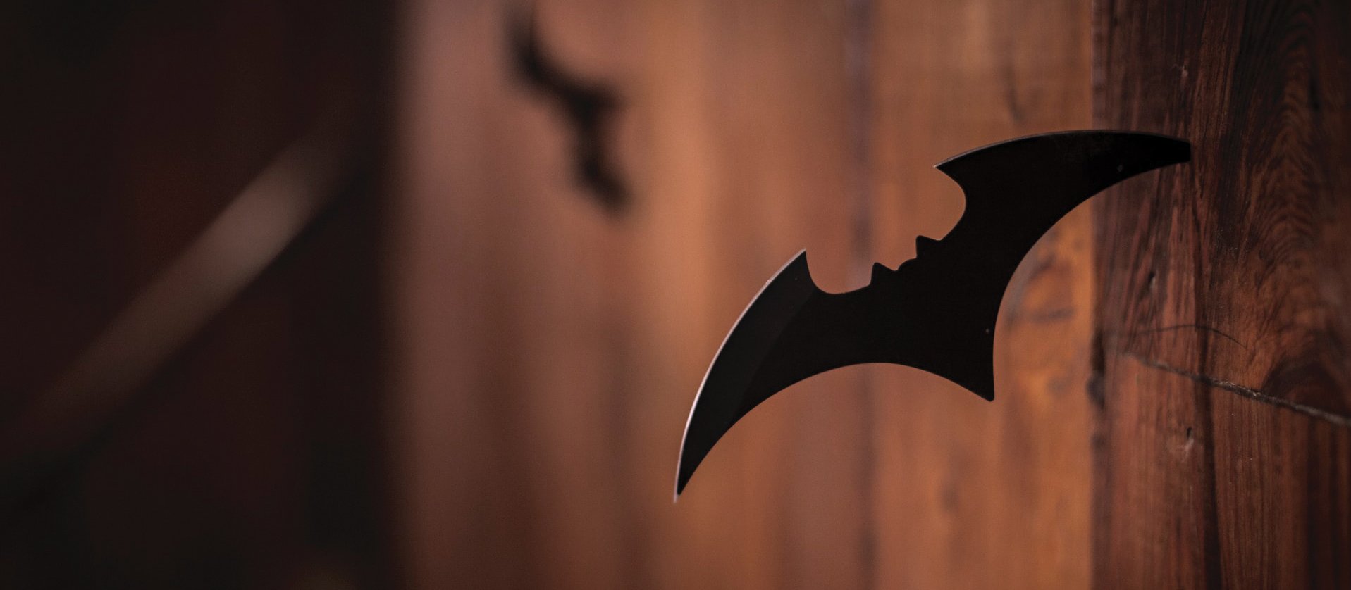 bat image Credit ActionVance on Unsplash