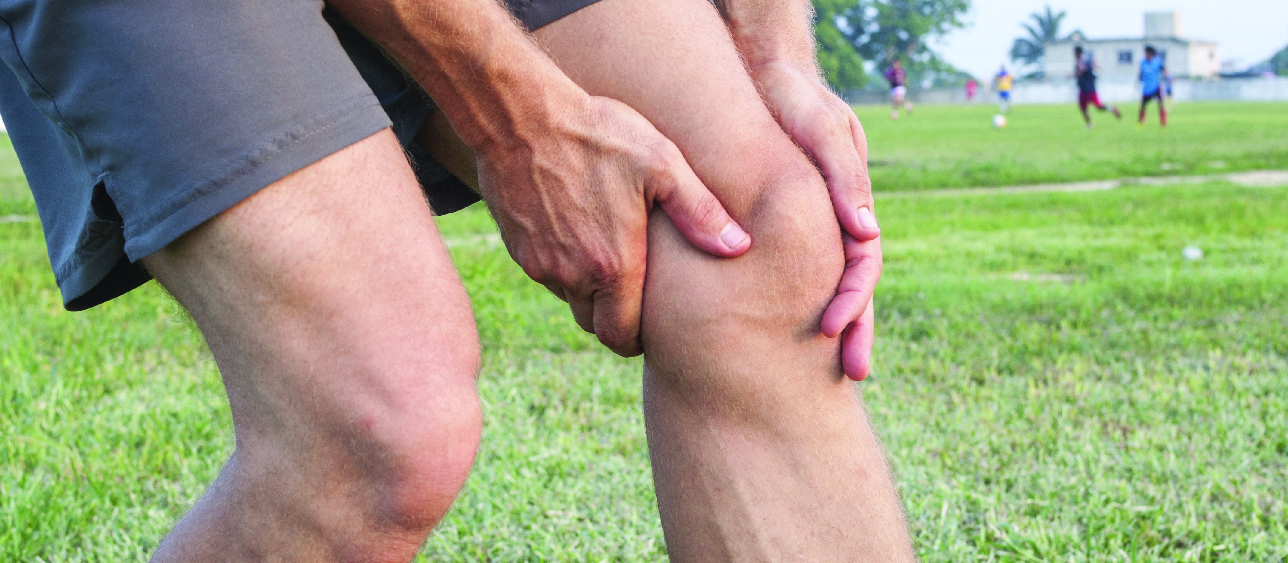 Knee