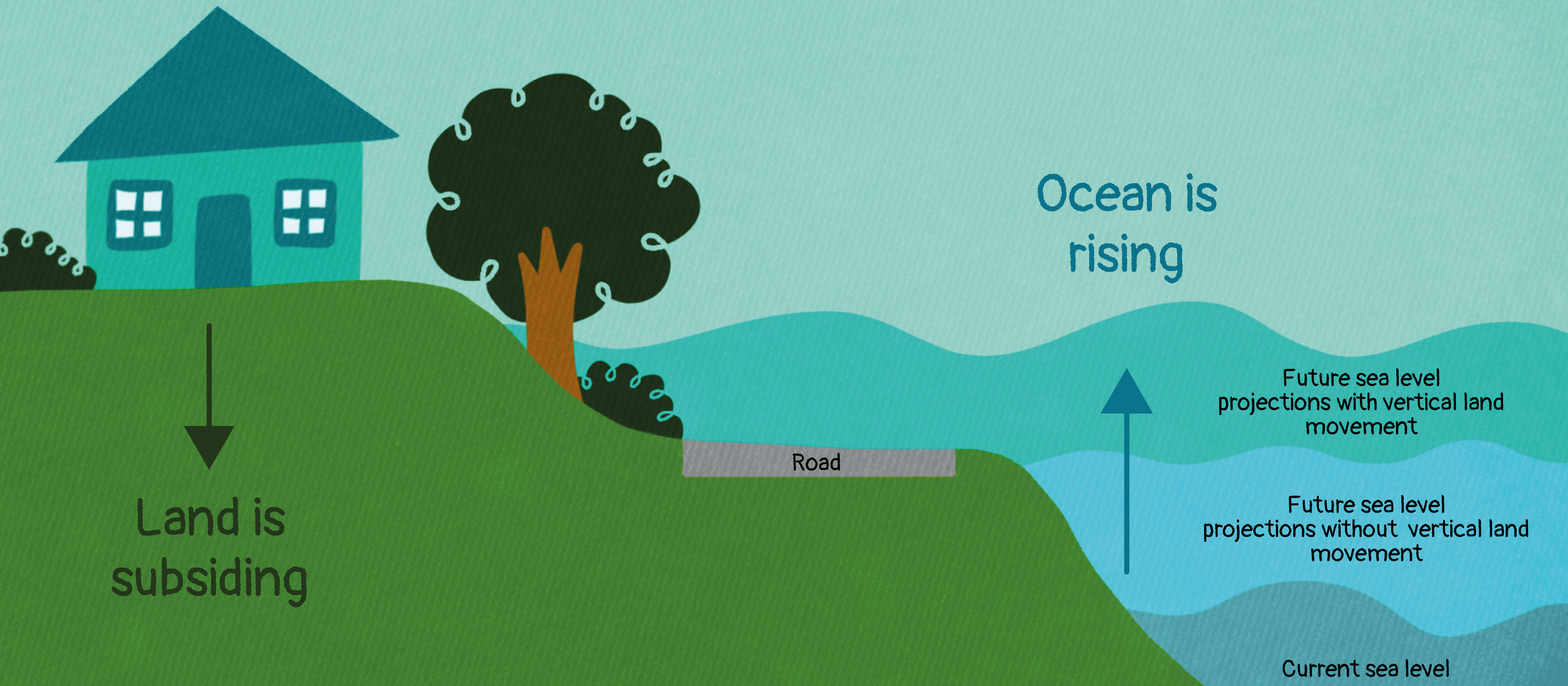 Sea level graphic [Image: Louise Thornley]