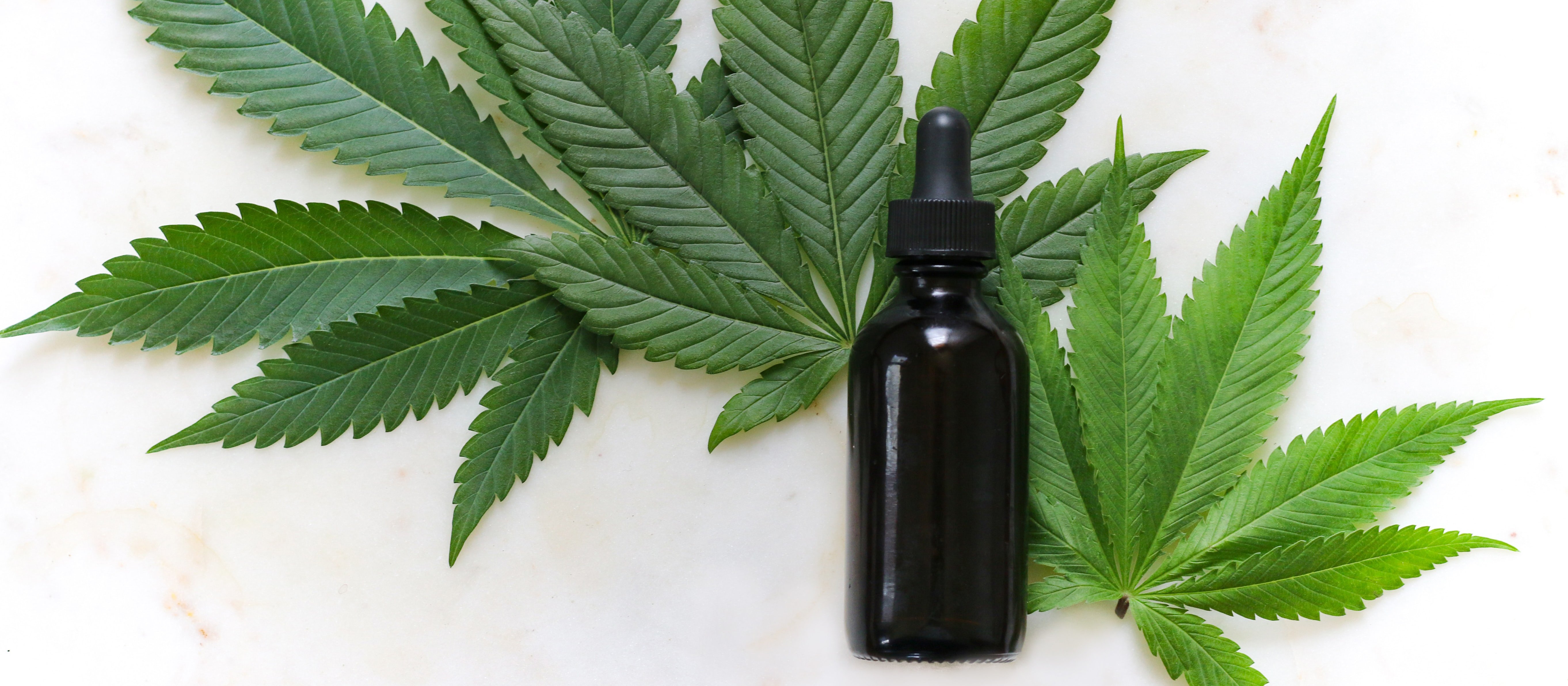 cannanis and oil CR kimzy nanney on Unsplash