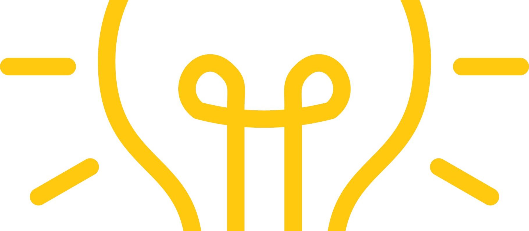 lightbulb icon