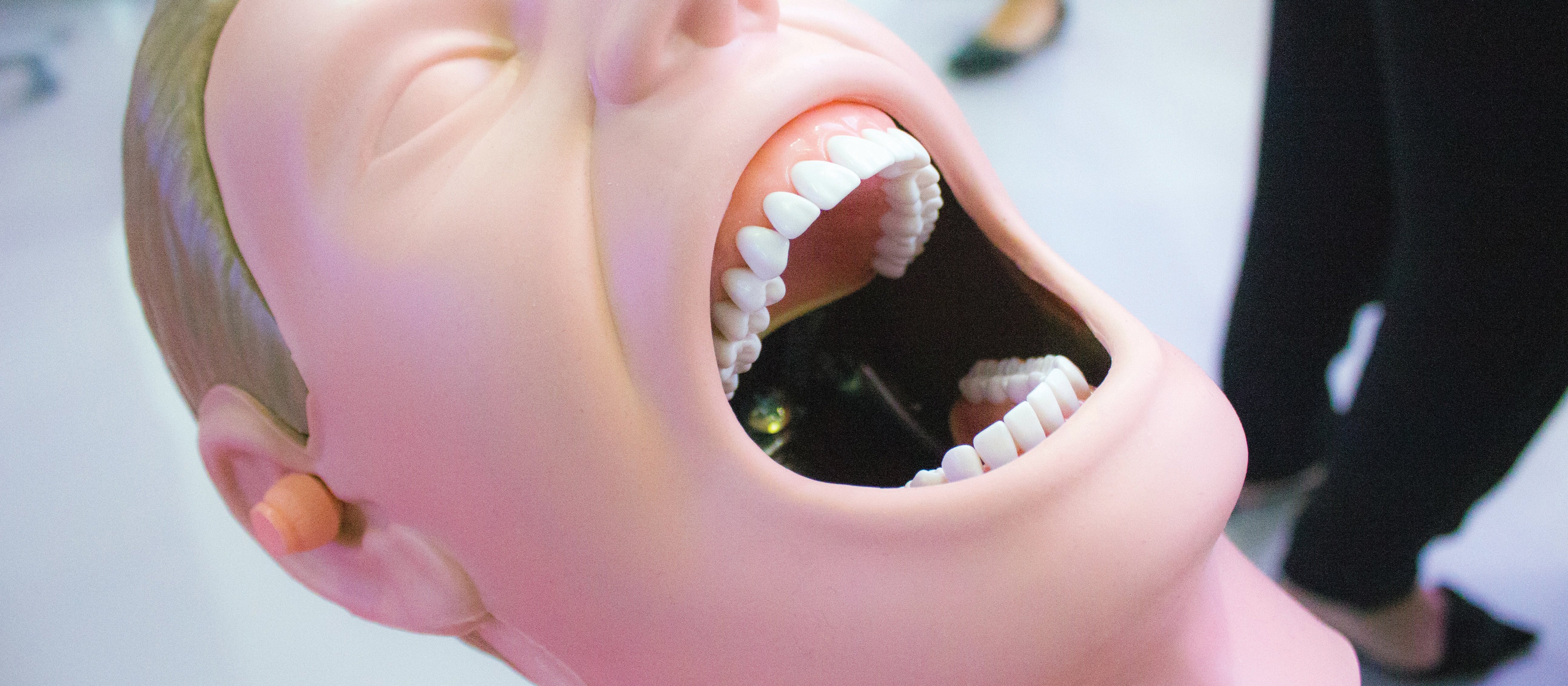 mouth model