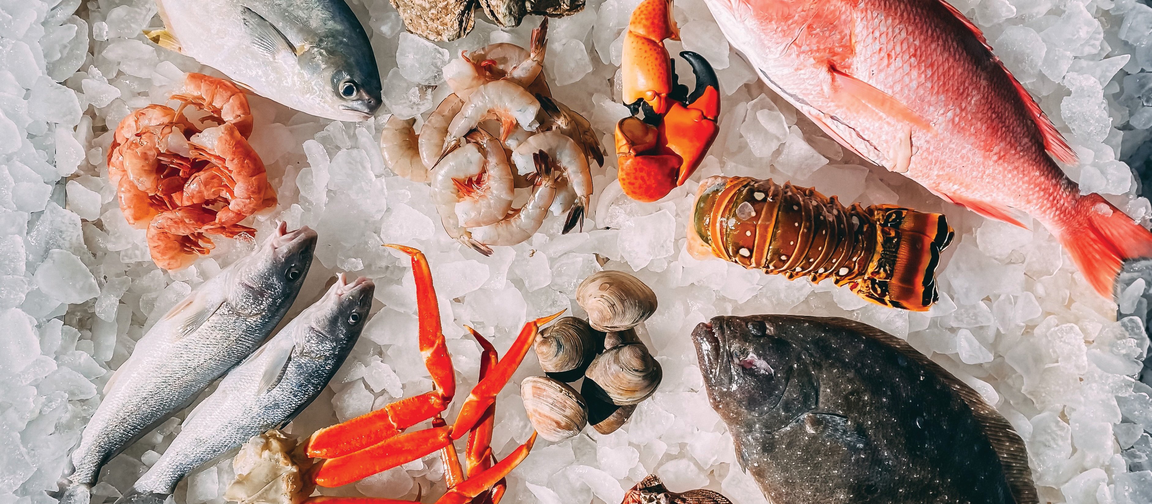 Seafood