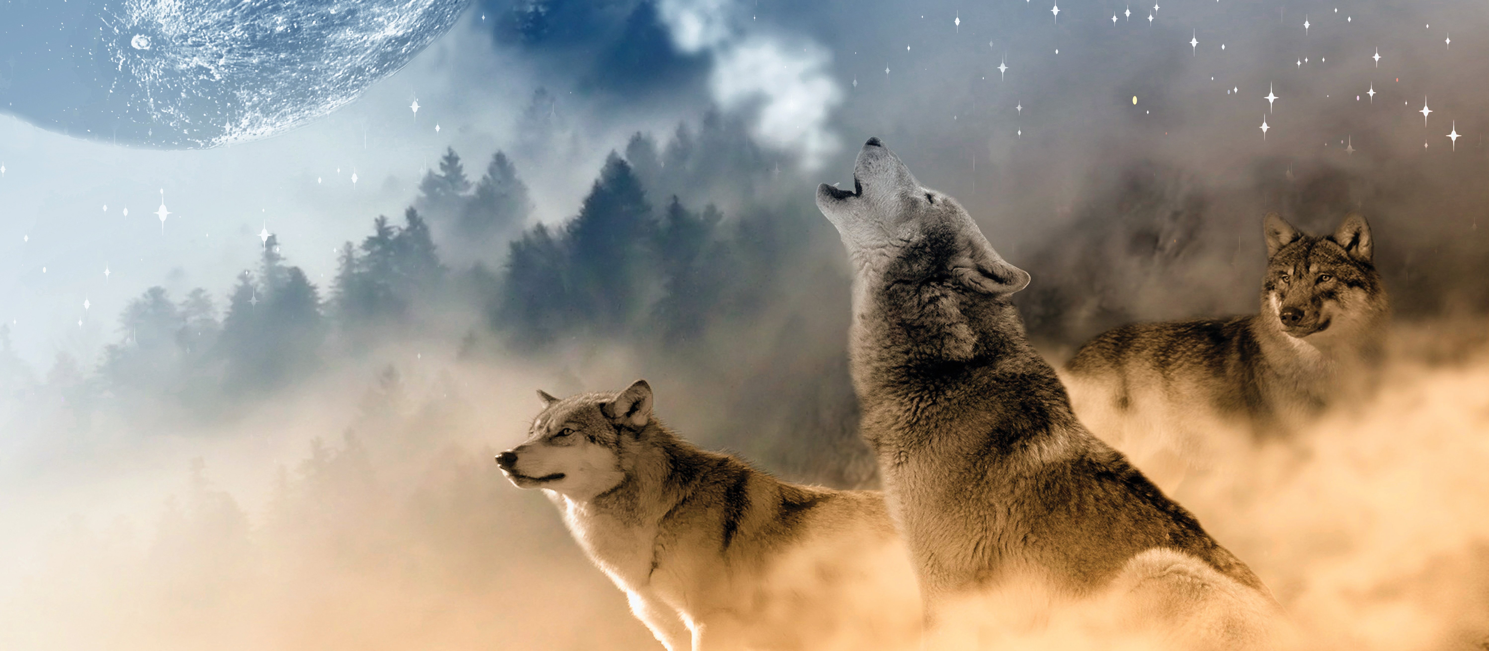 Wolves