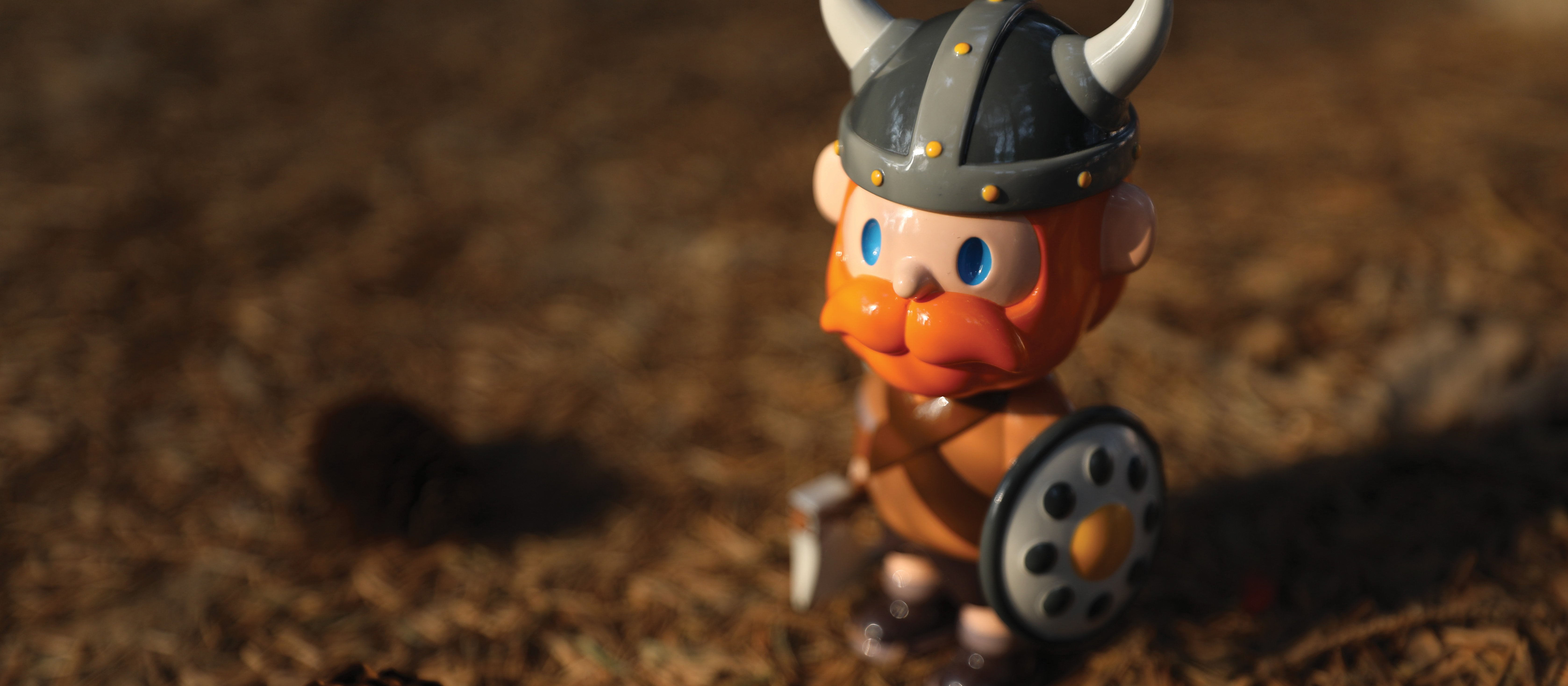 Little Viking CR_hao-qin_on_Unsplash.jpg