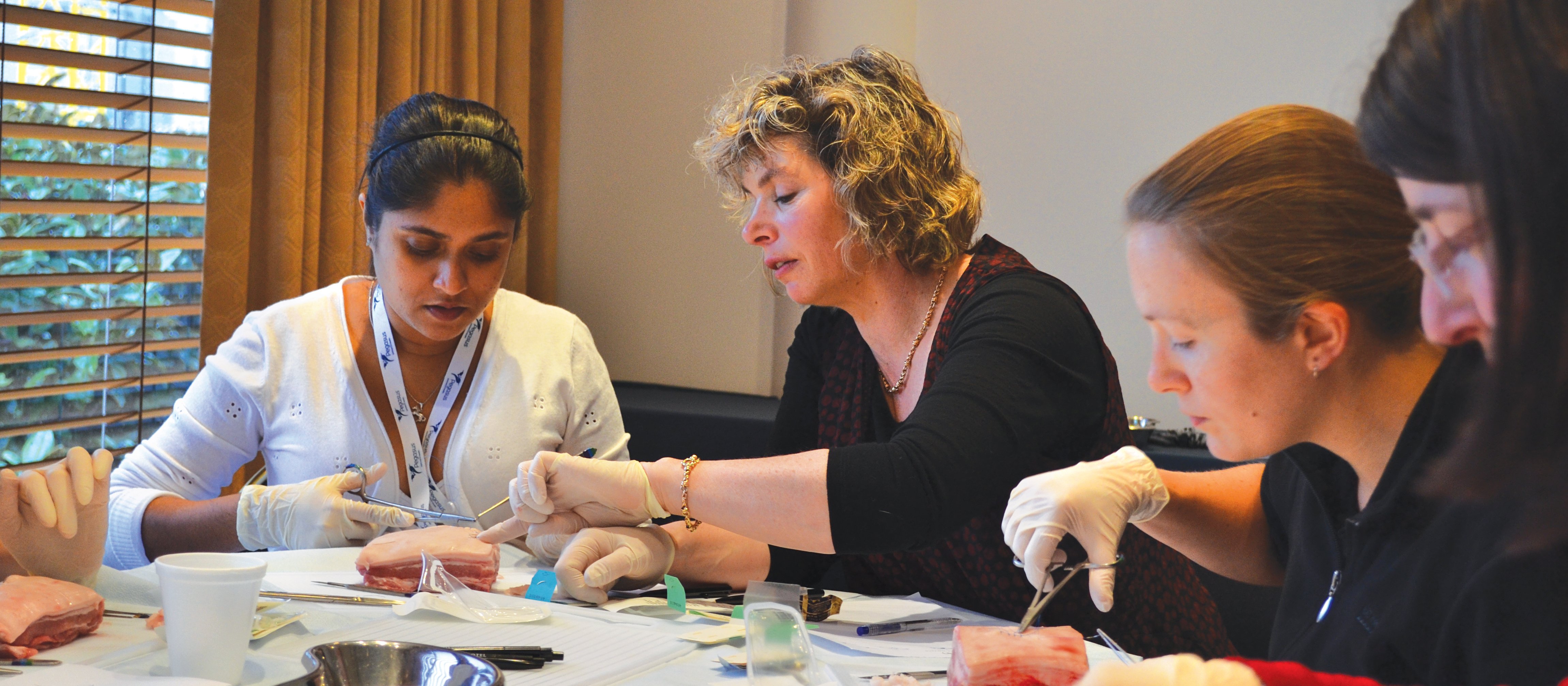 Samantha Murton Teaching 2016
