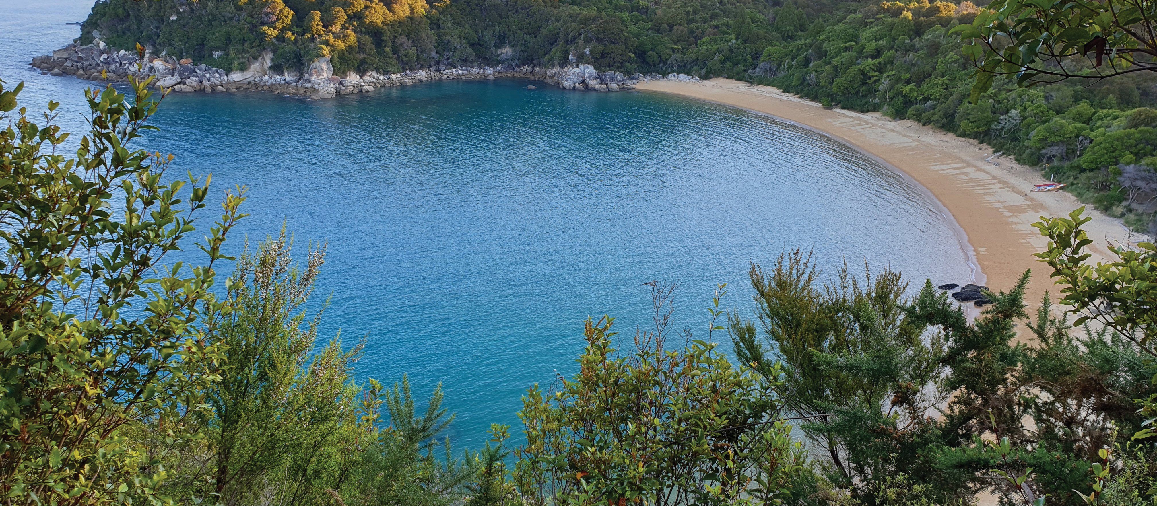 Te Pukatea Bay.jpg