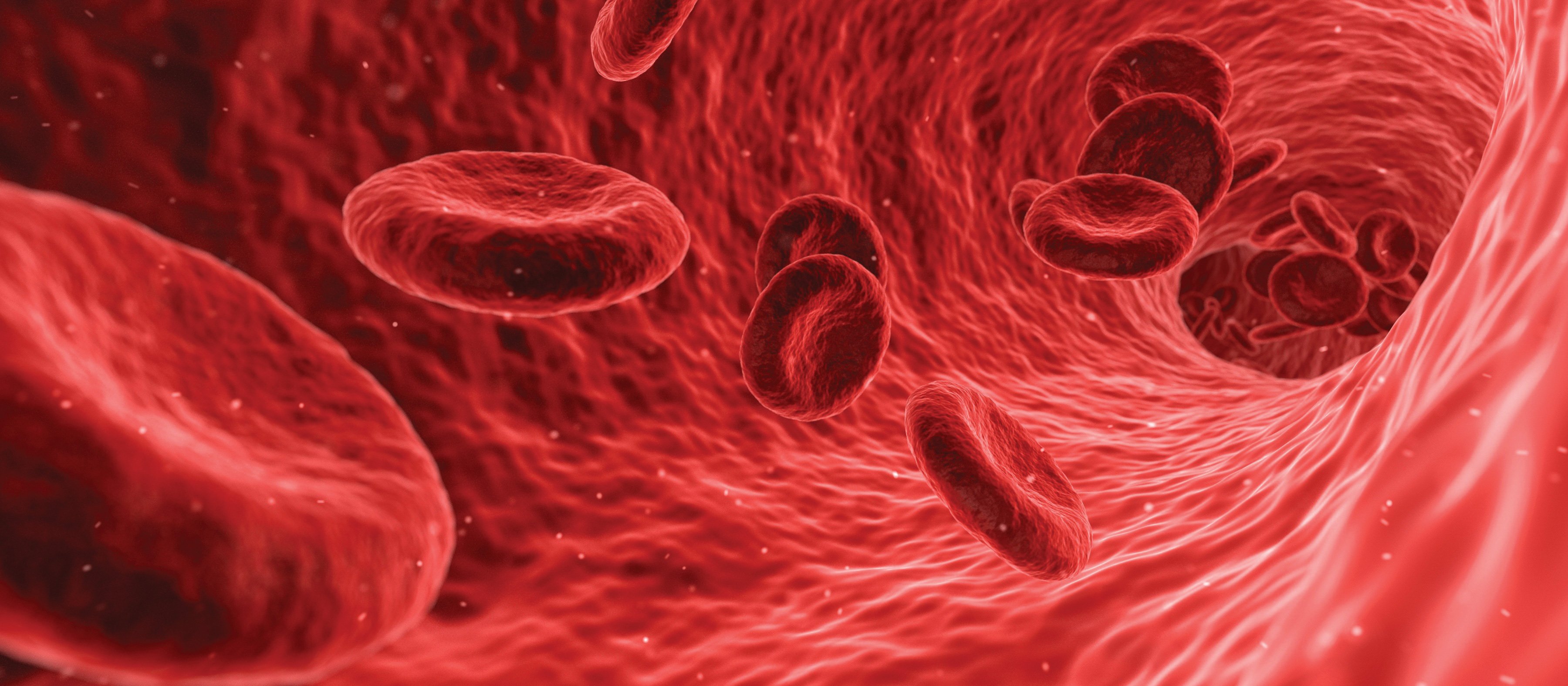 Blood