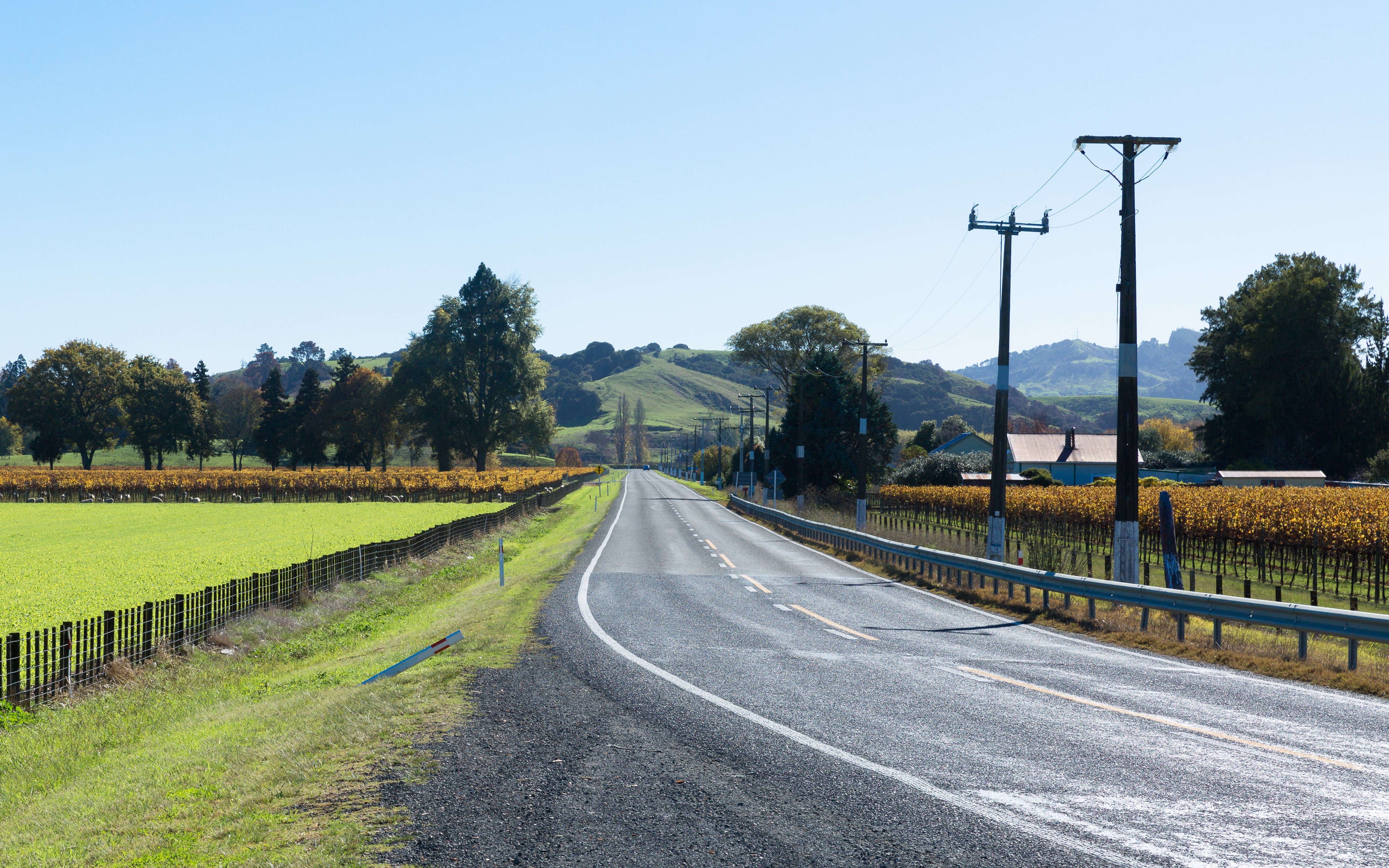 Hawke's Bay