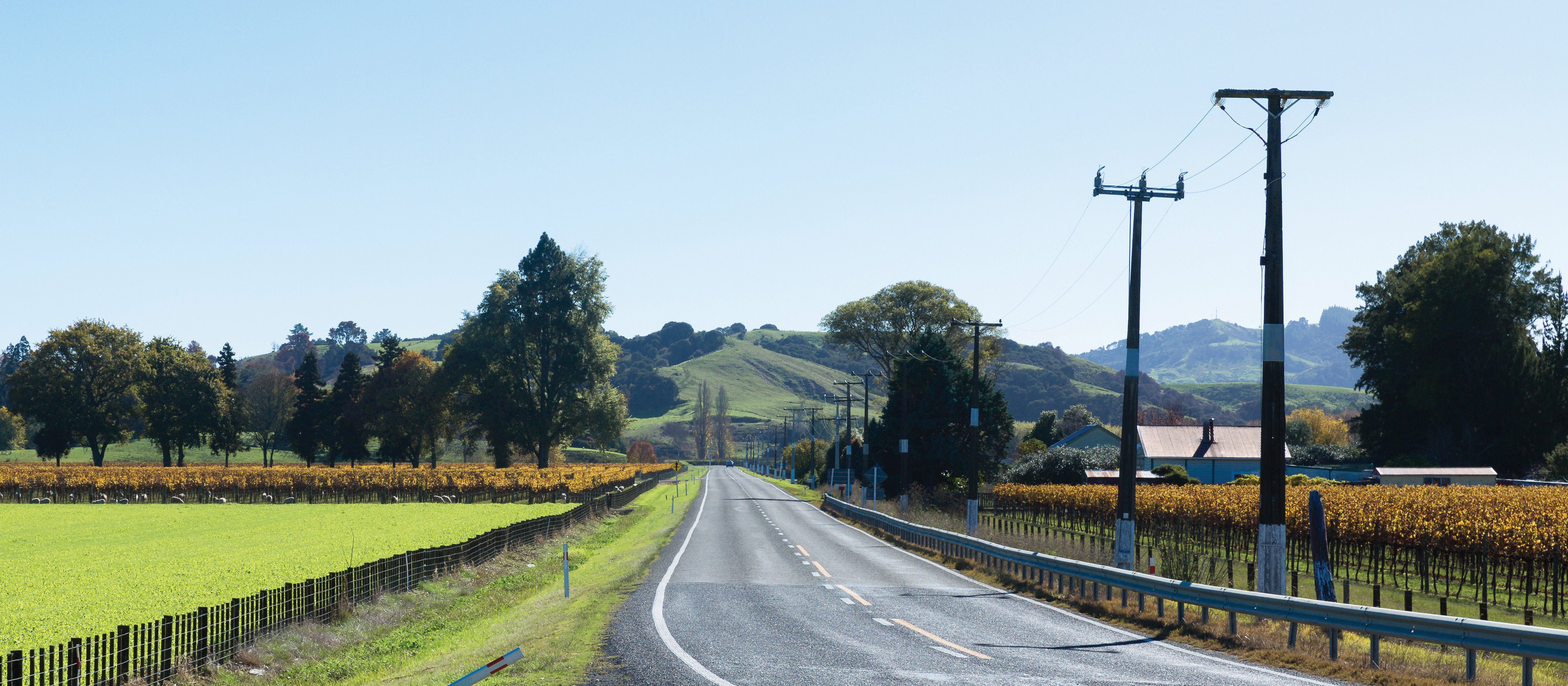 Rural road Hawke's Bay