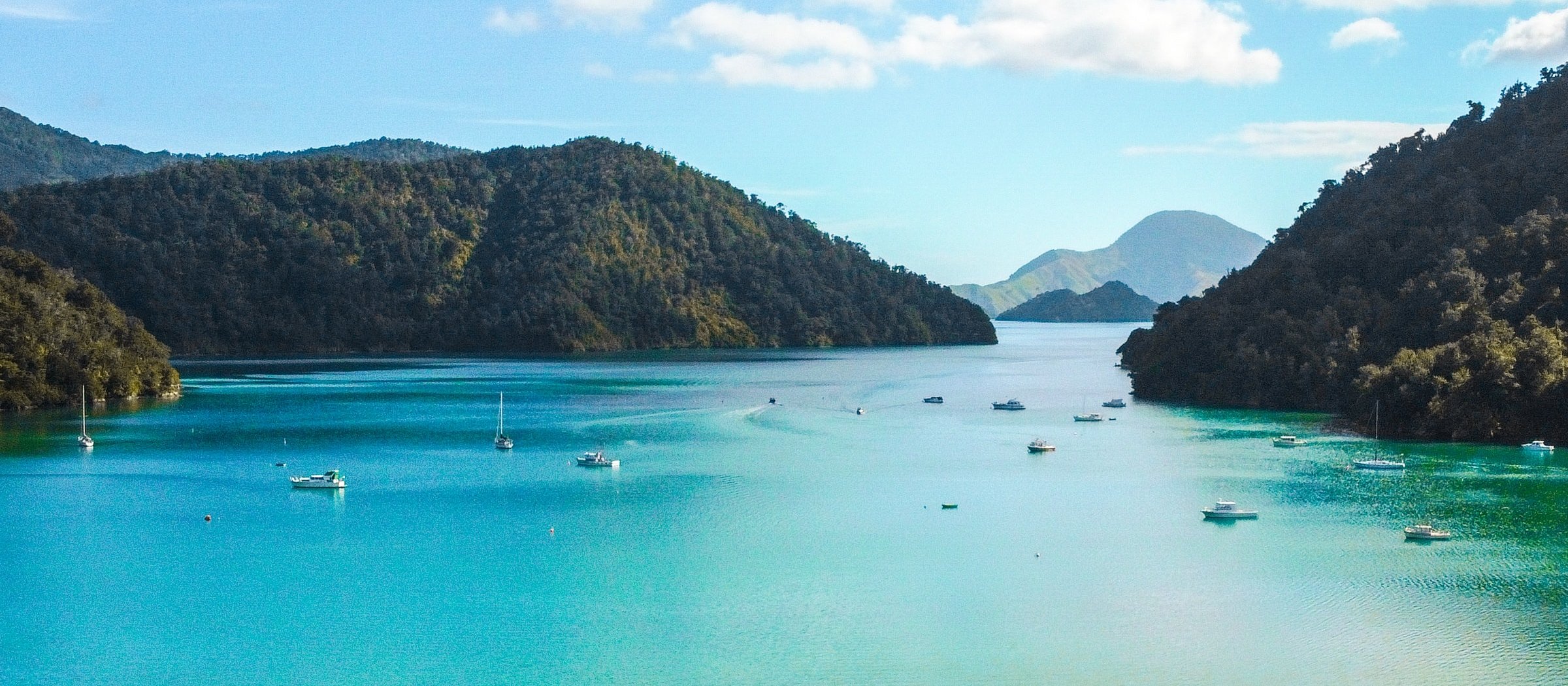 Marlborough Sounds CR Mark de Jong on Unsplash] 