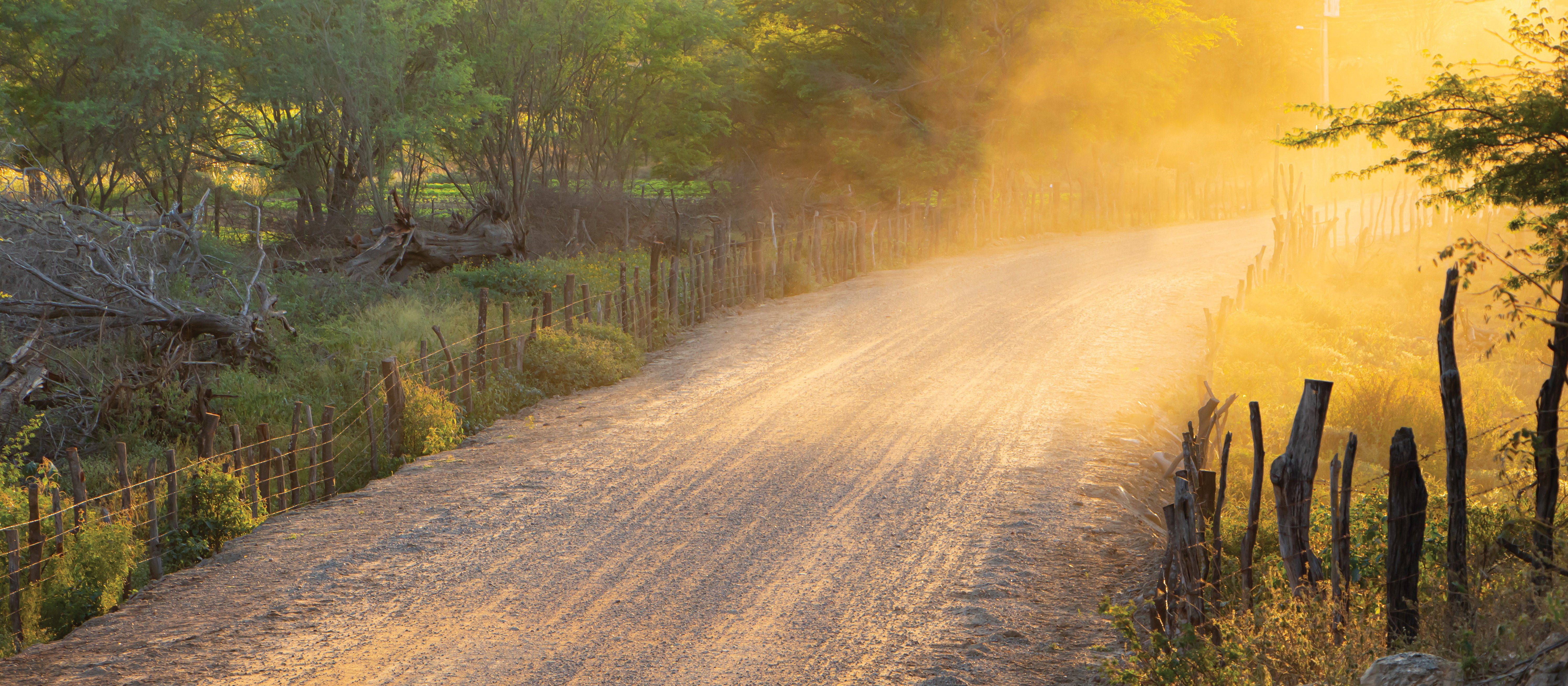 Road dust 