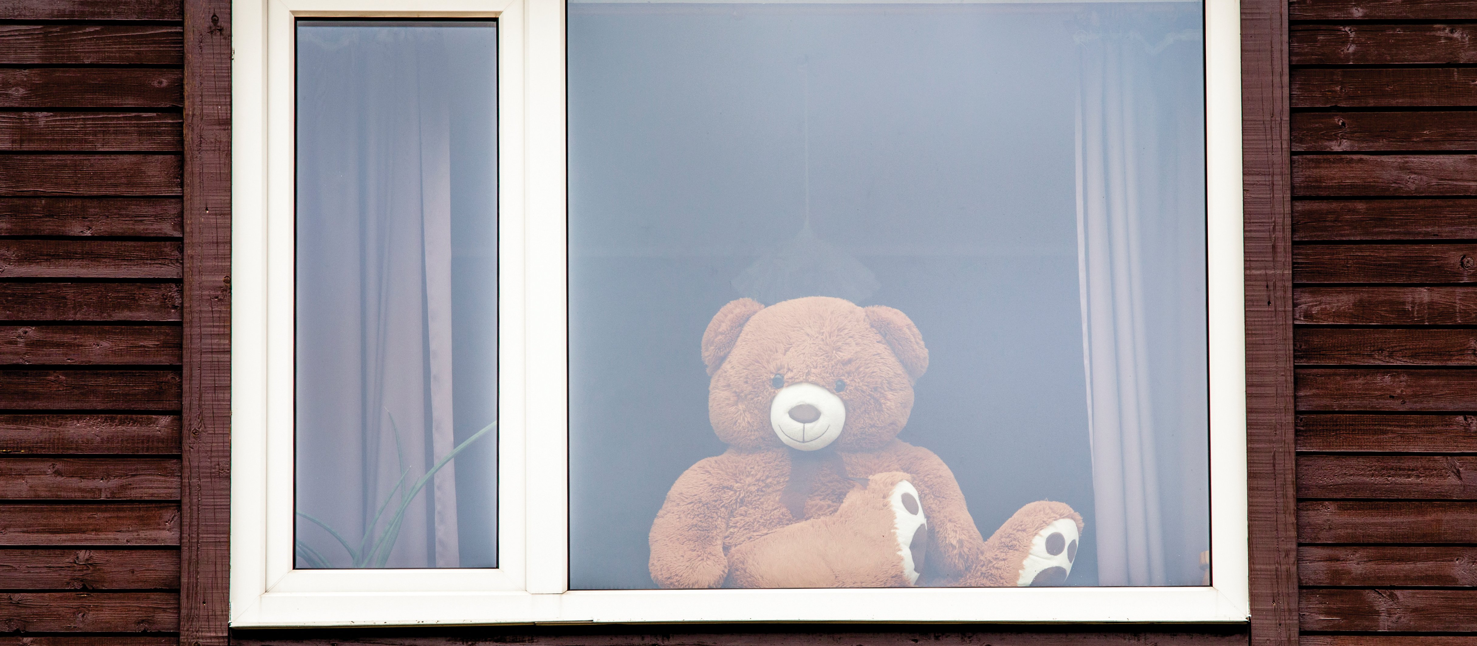 Teddy bear window CR Helin Loik-Tomson on iStock