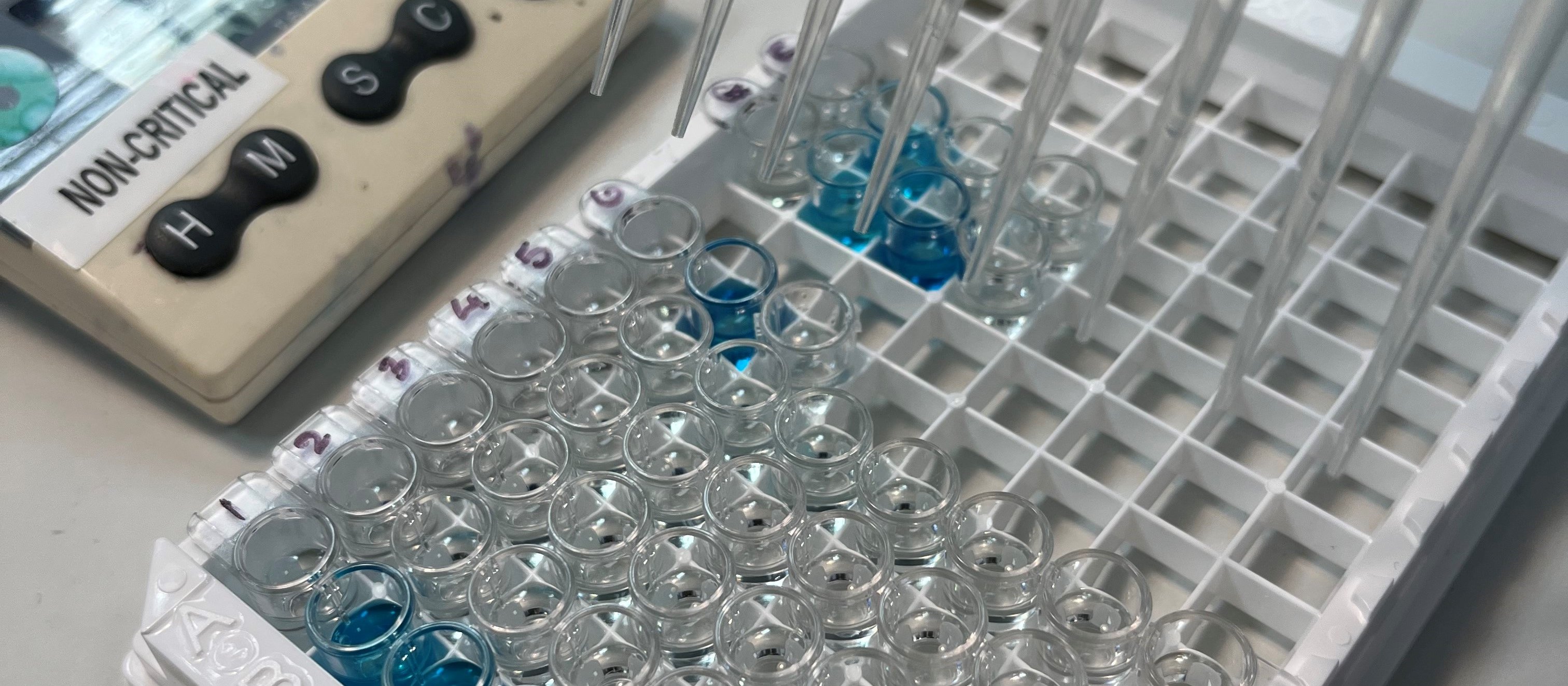 From the lab 