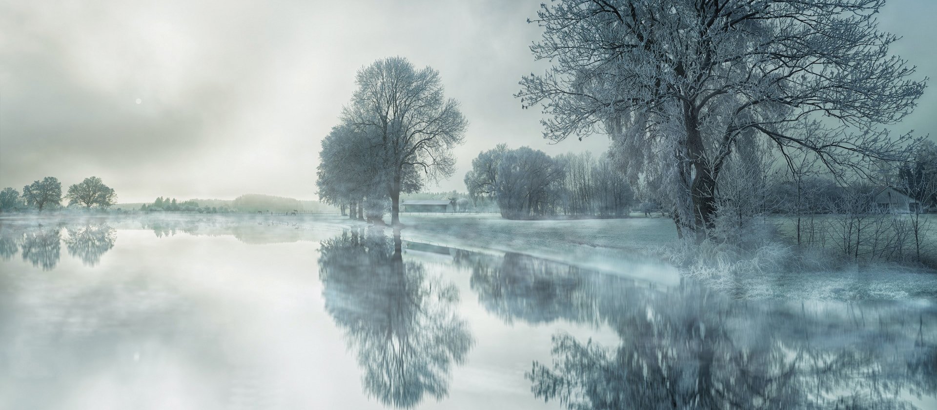 winter trees water CR Johannes Plenio on Unsplash