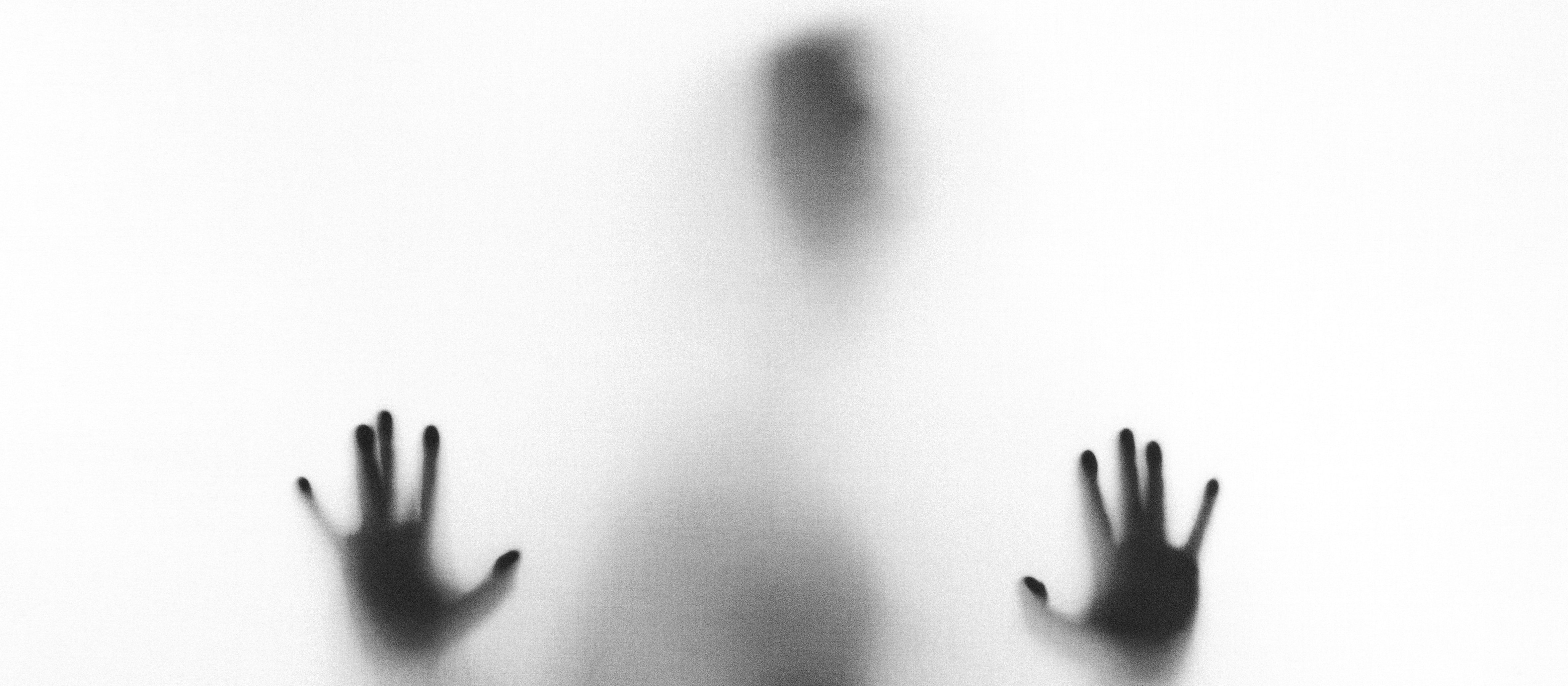 Invisible CR Stefano Pollio on Unsplash