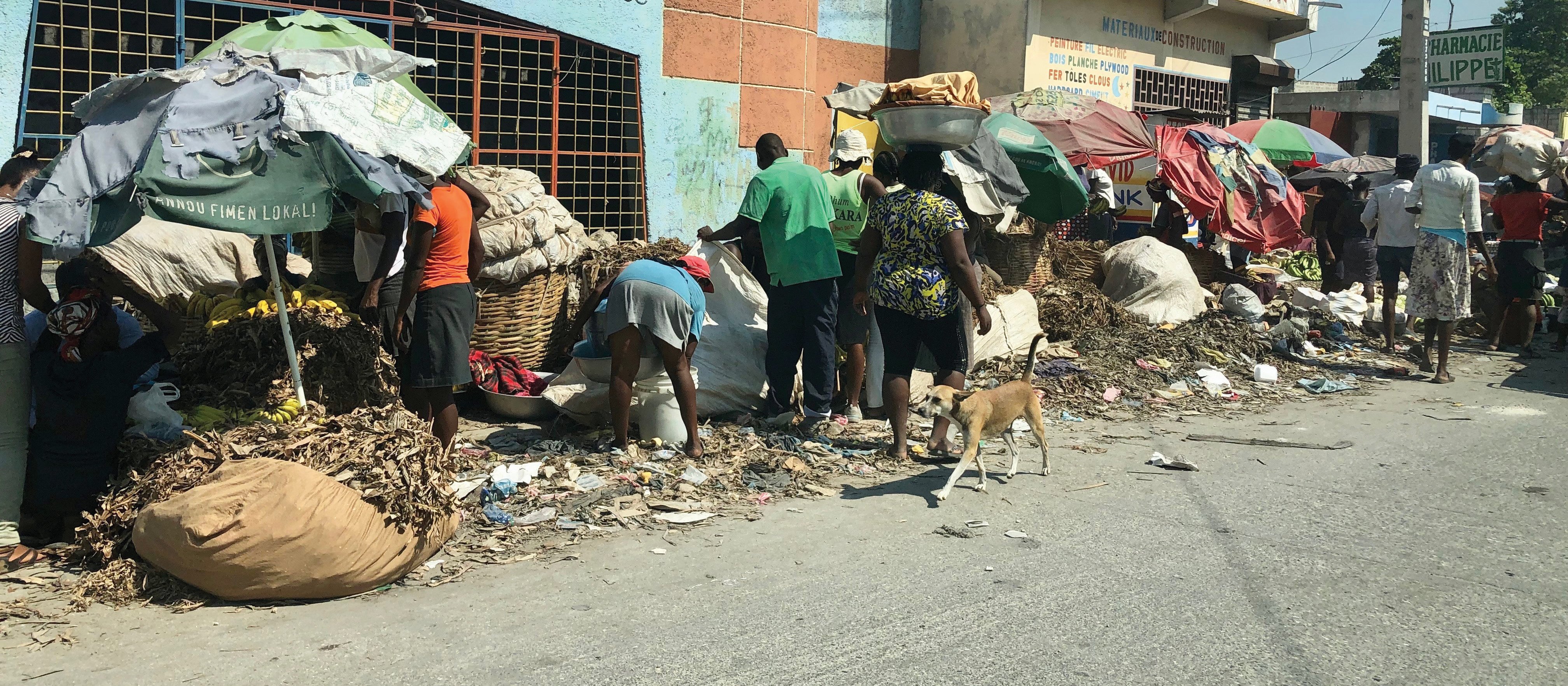 Haiti CR Susan Mohr on Unsplash
