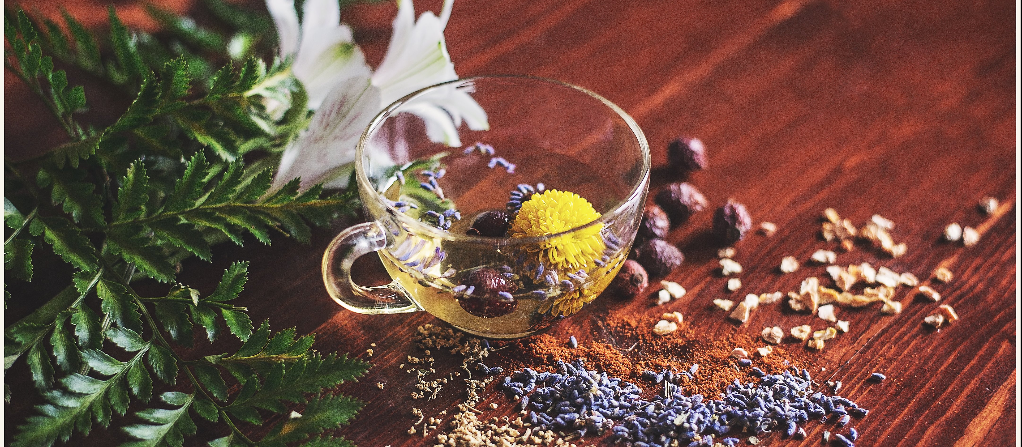 Image shows a clear glass cup of herbal tea, with flowers inside, on a wooden table strewn with herbs, leaves, and seeds