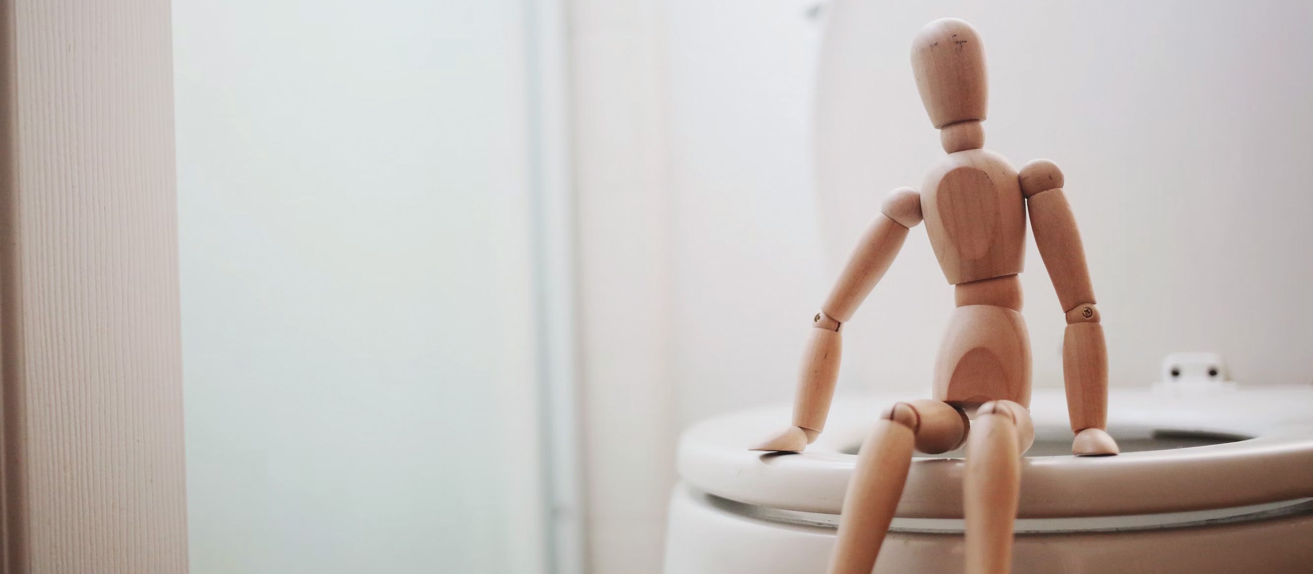 Manniquin on loo