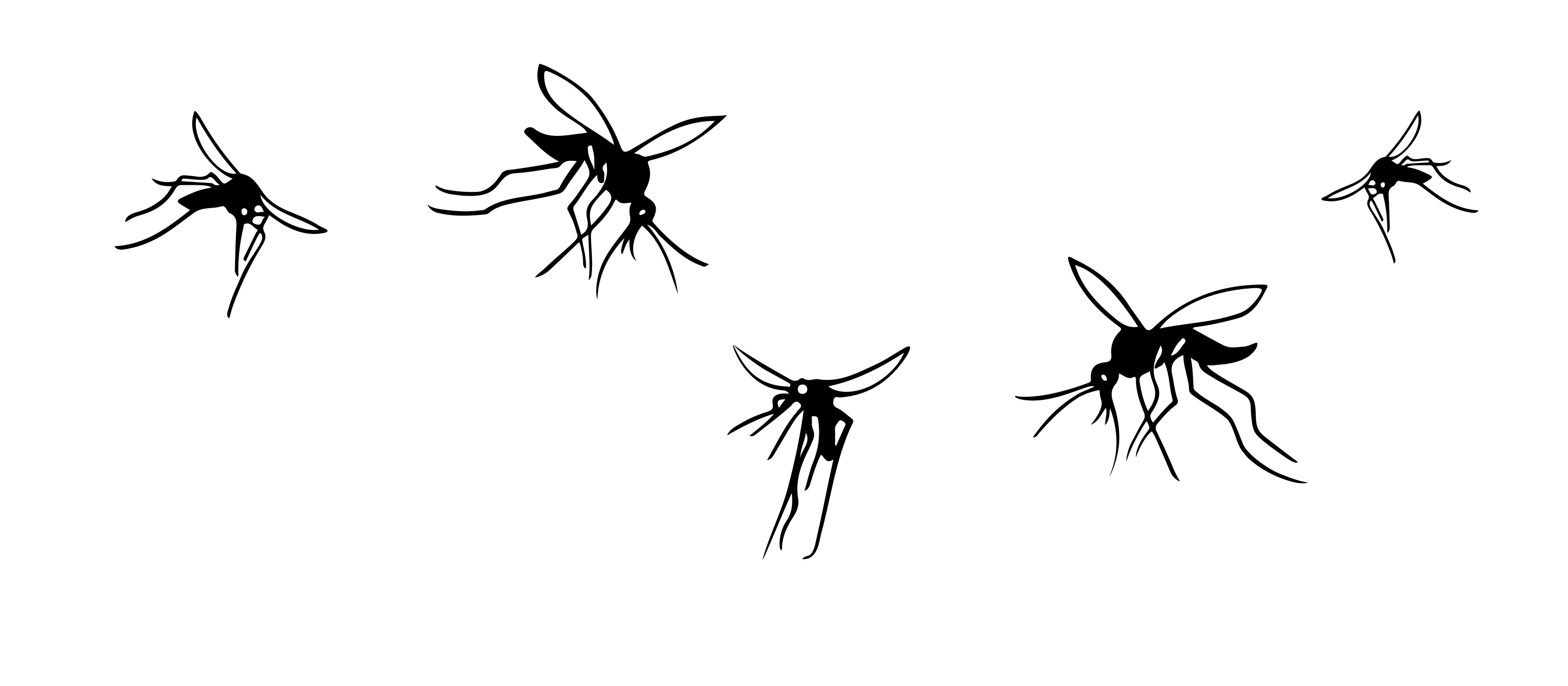 Cartoon of five mosquitoes in flight