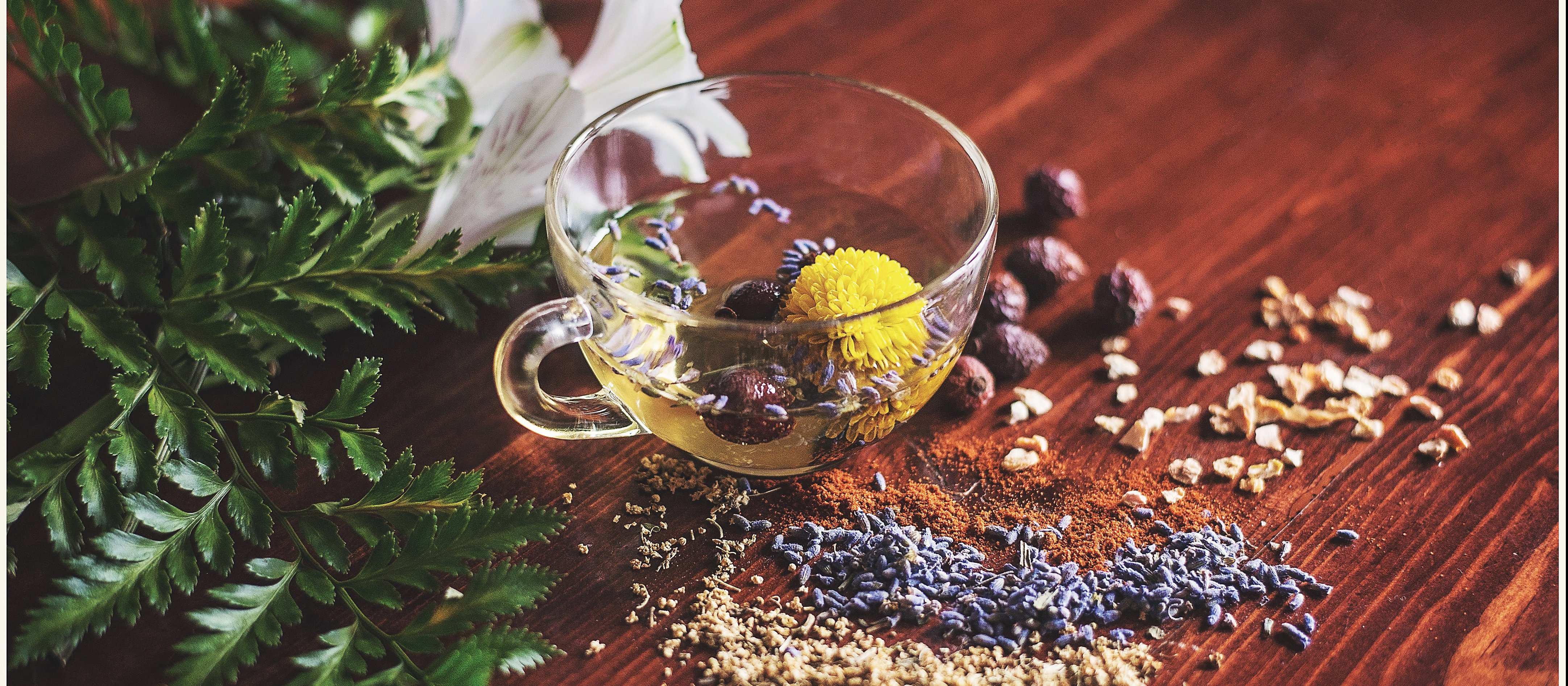 Herbals CR Lisa Hobbs on Unsplash