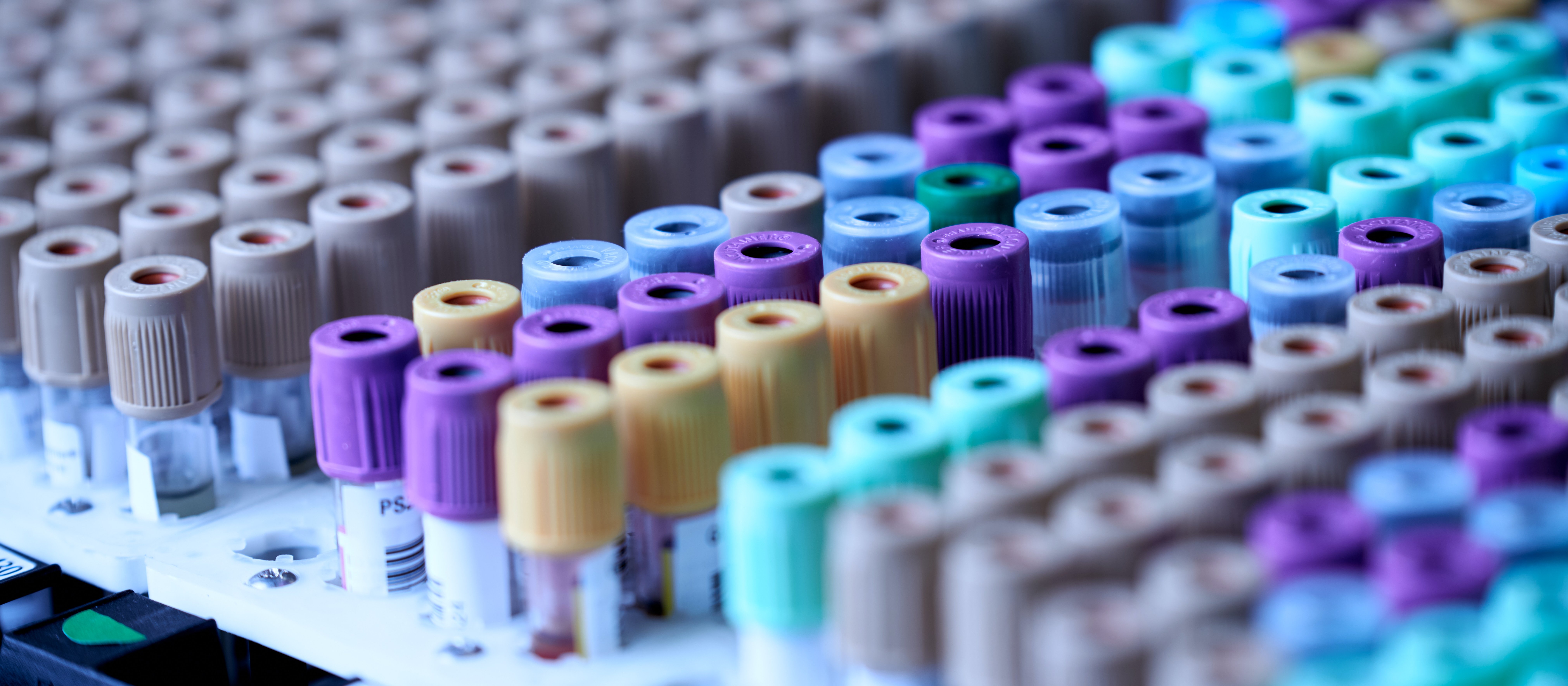 Blood test