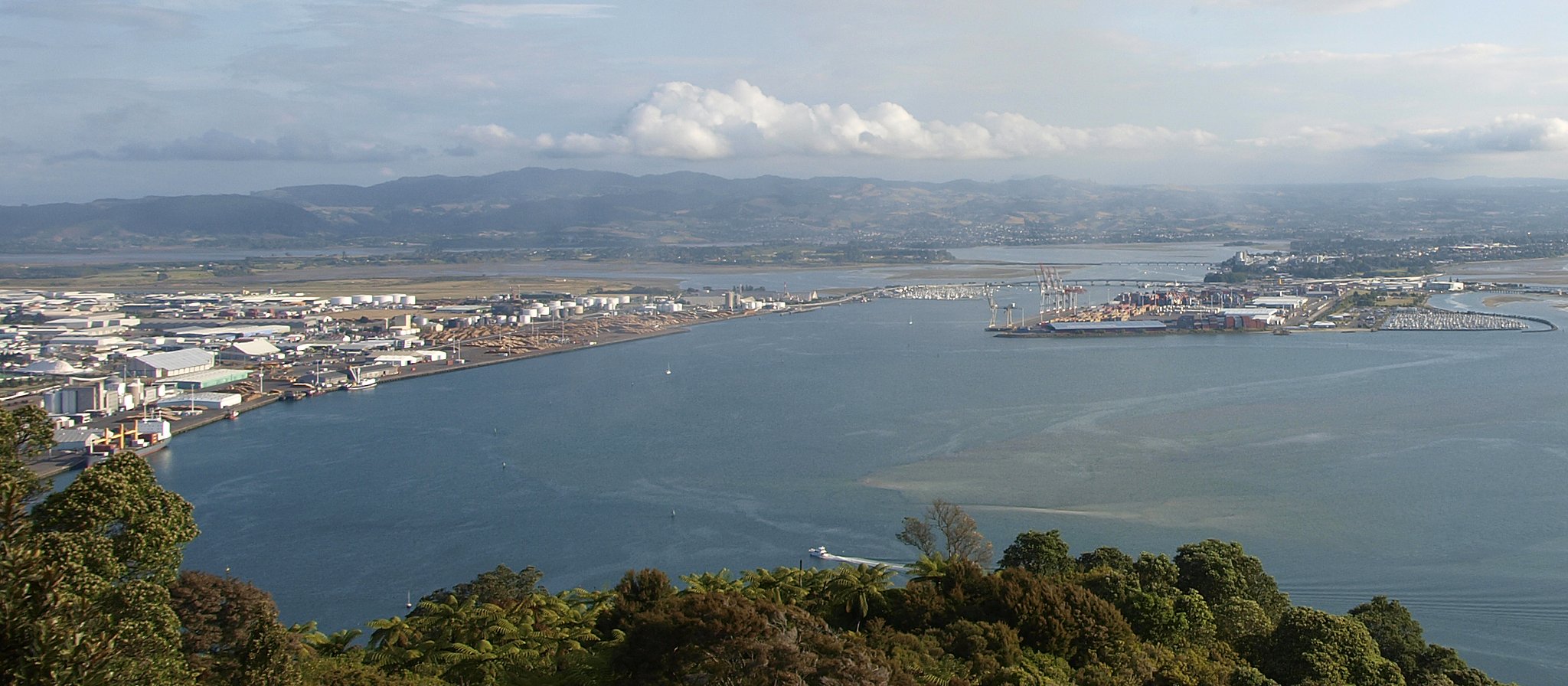 Tauranga city and port